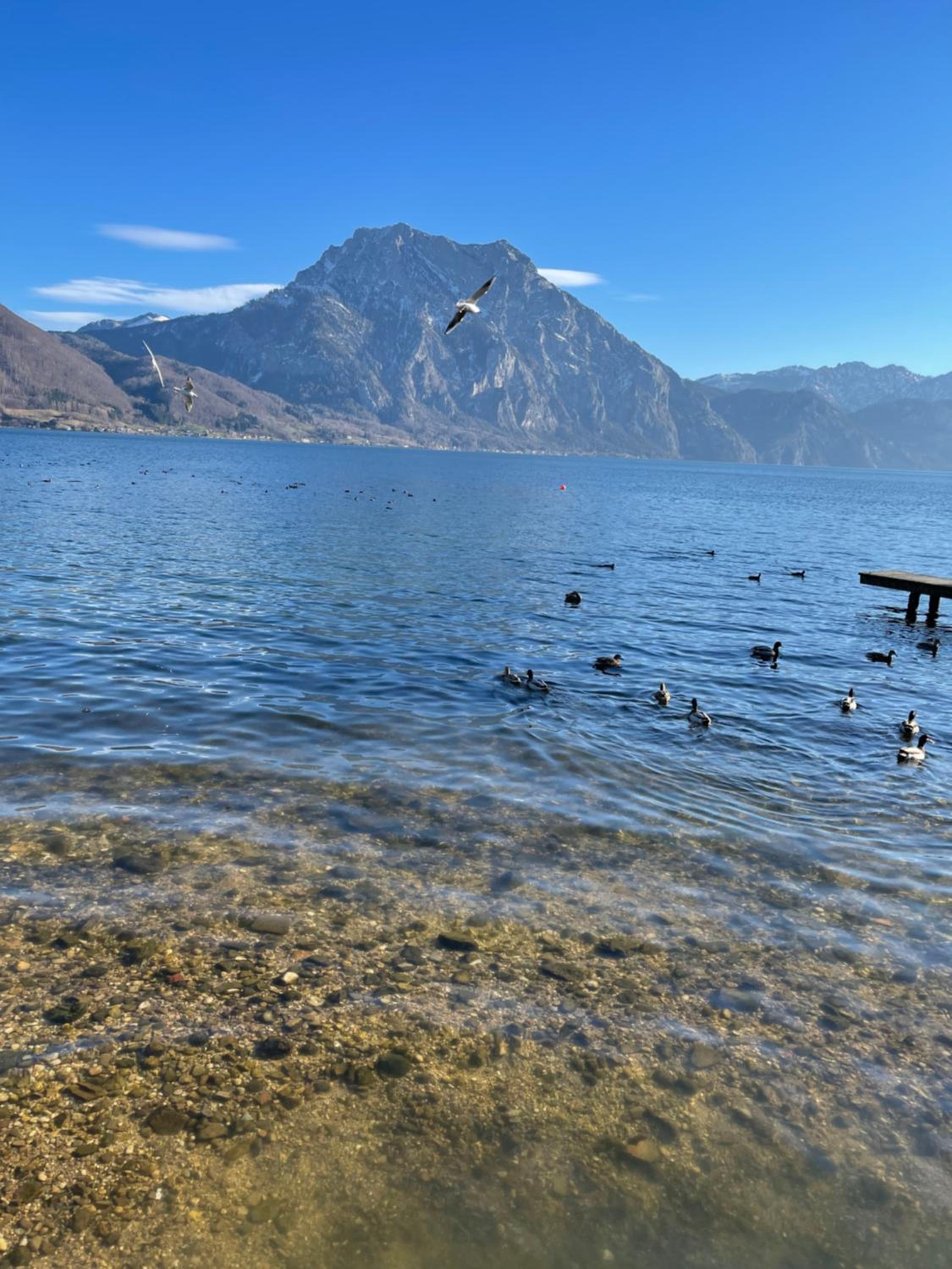 Bergglück - gemütliches Appartement am Traunsee