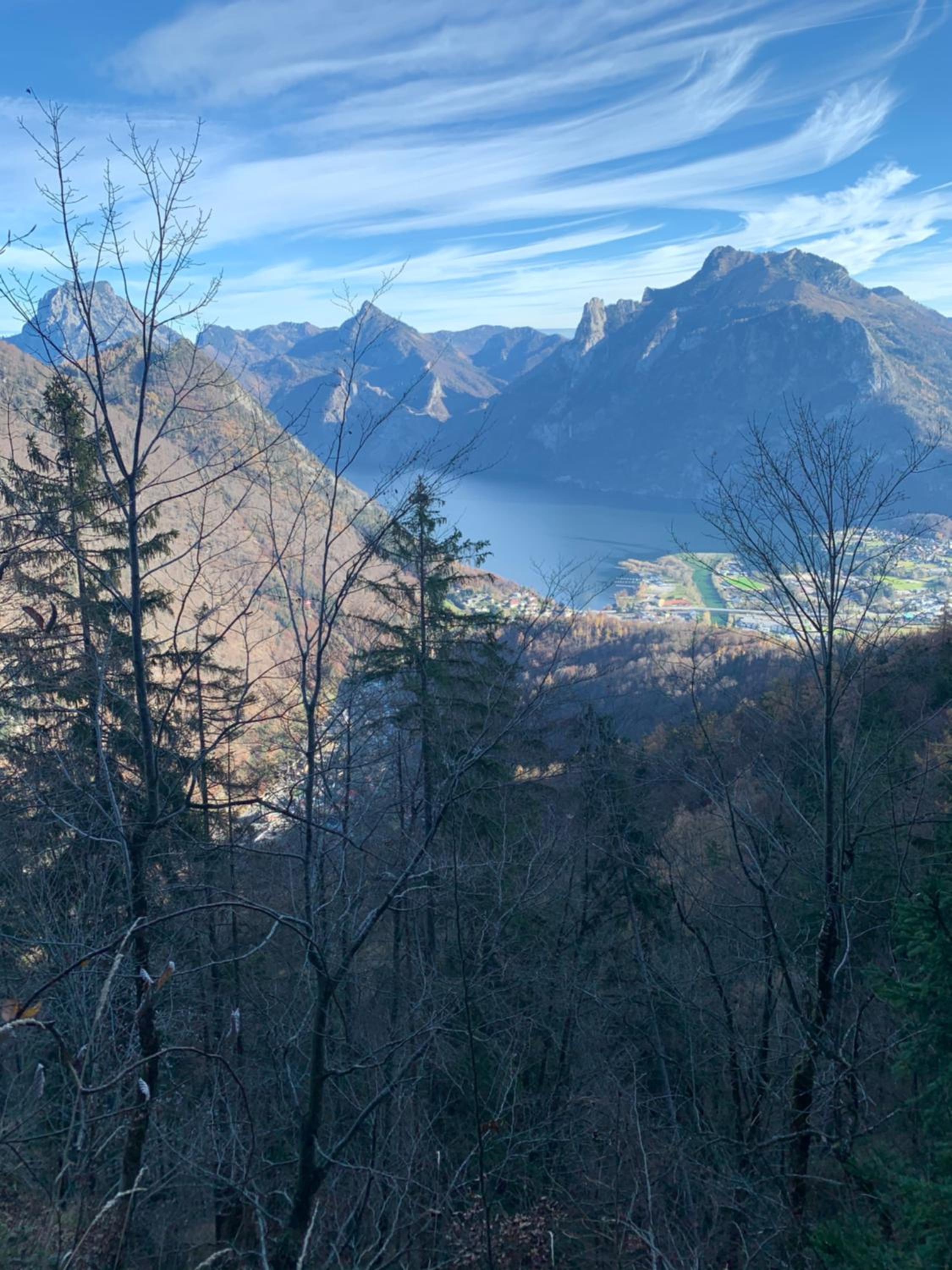 Bergglück - gemütliches Appartement am Traunsee