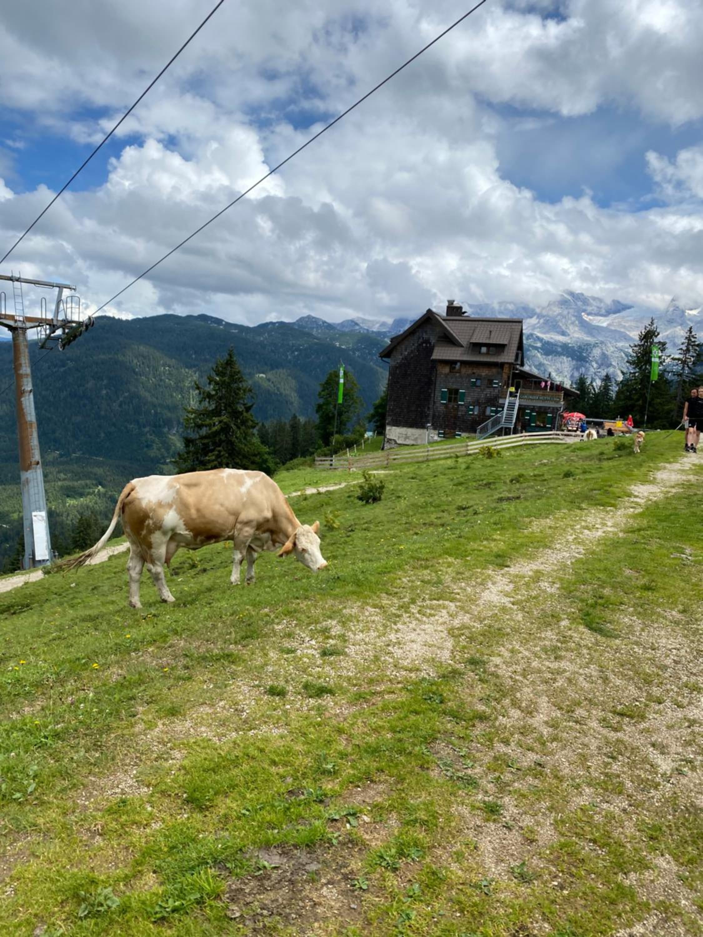 Bergglück - gemütliches Appartement am Traunsee