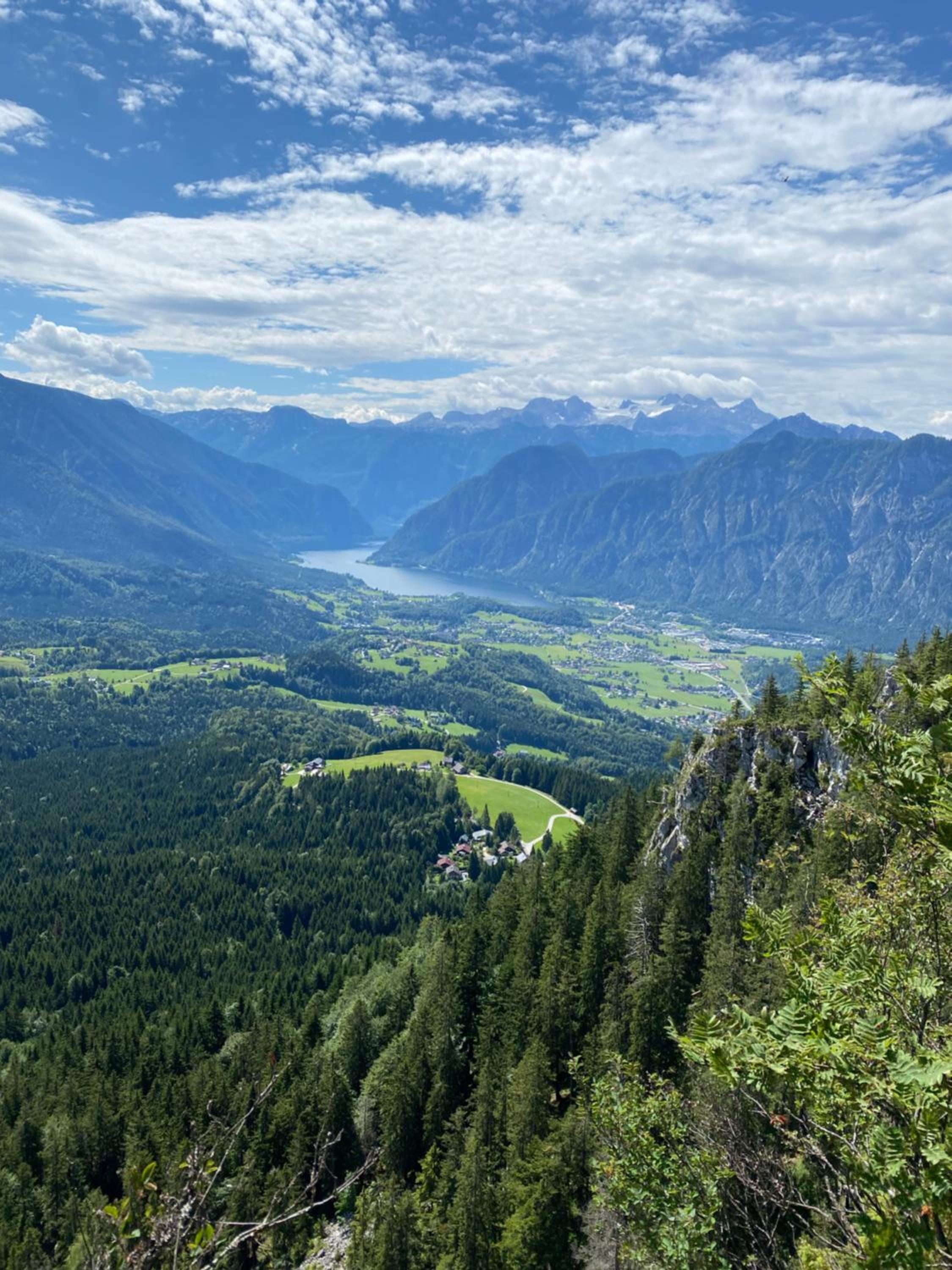 Bergglück - gemütliches Appartement am Traunsee