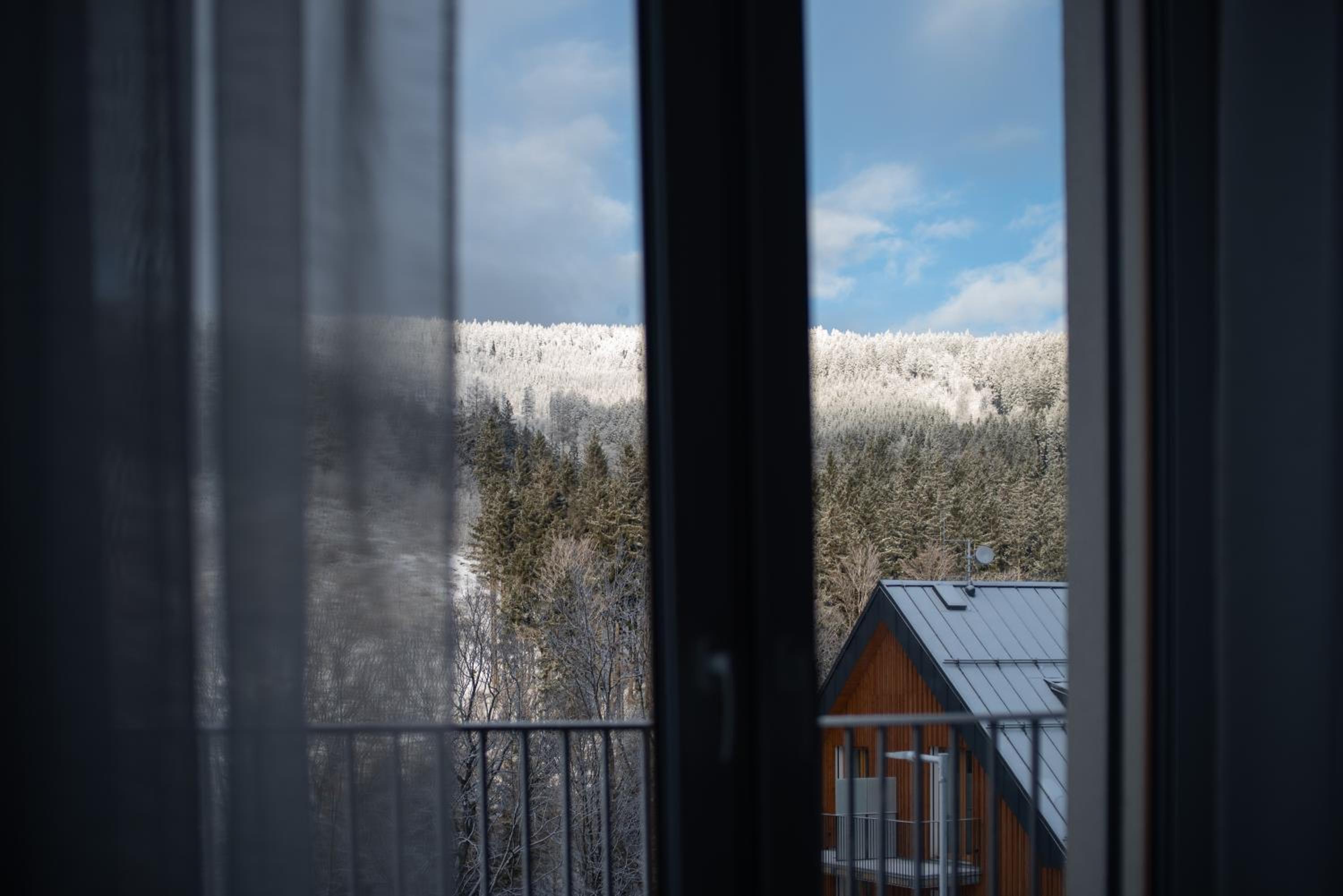 Apartmán Pod Sněžníkem