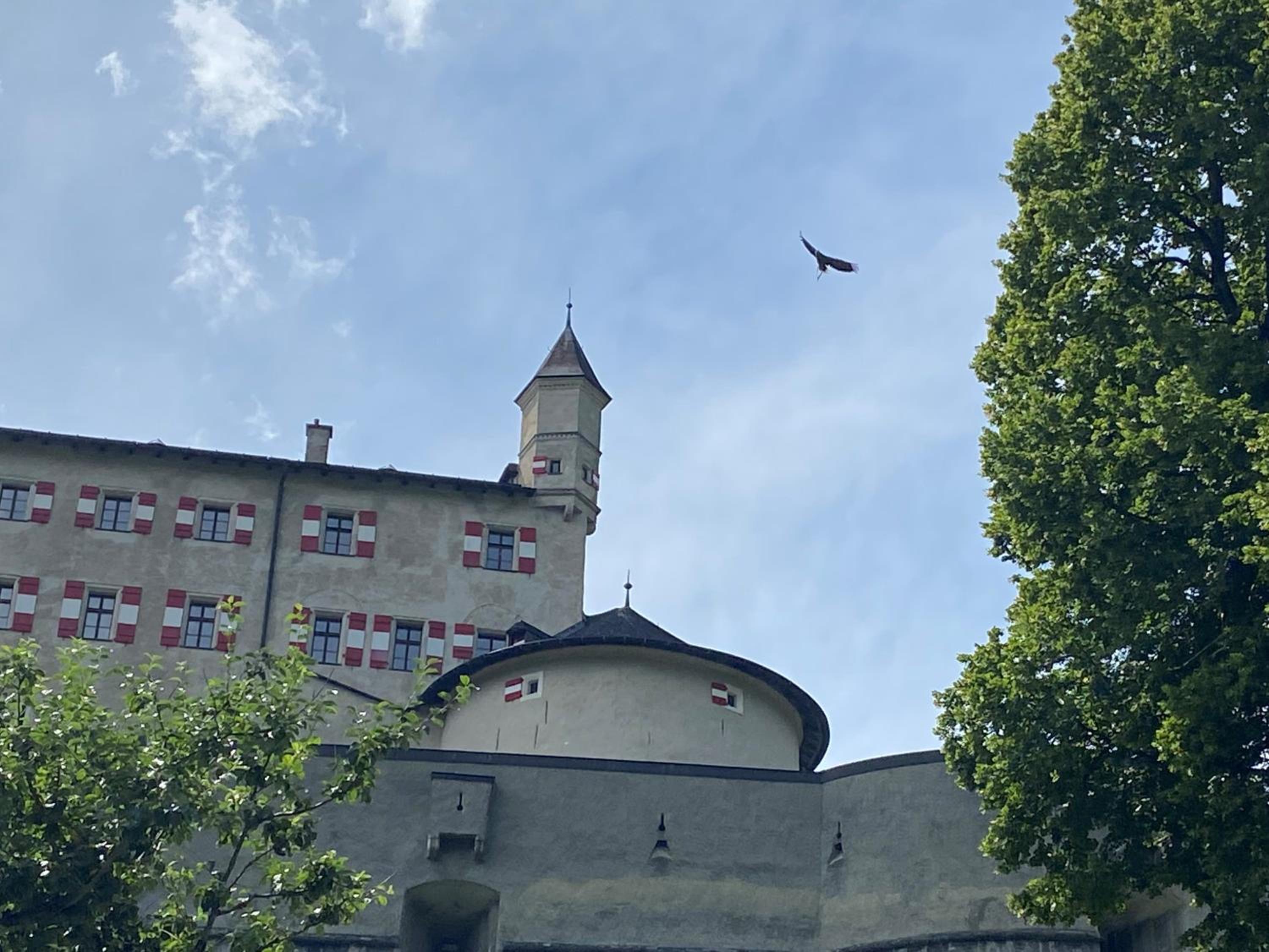 Photo 25