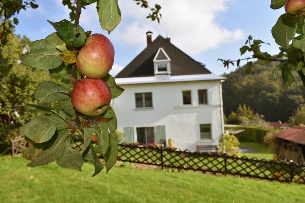 Ferienwohnung Erzgebirgswohnung Götze