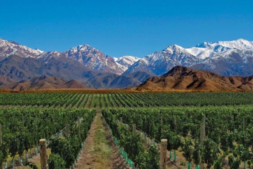 John’s Home on Wine Route