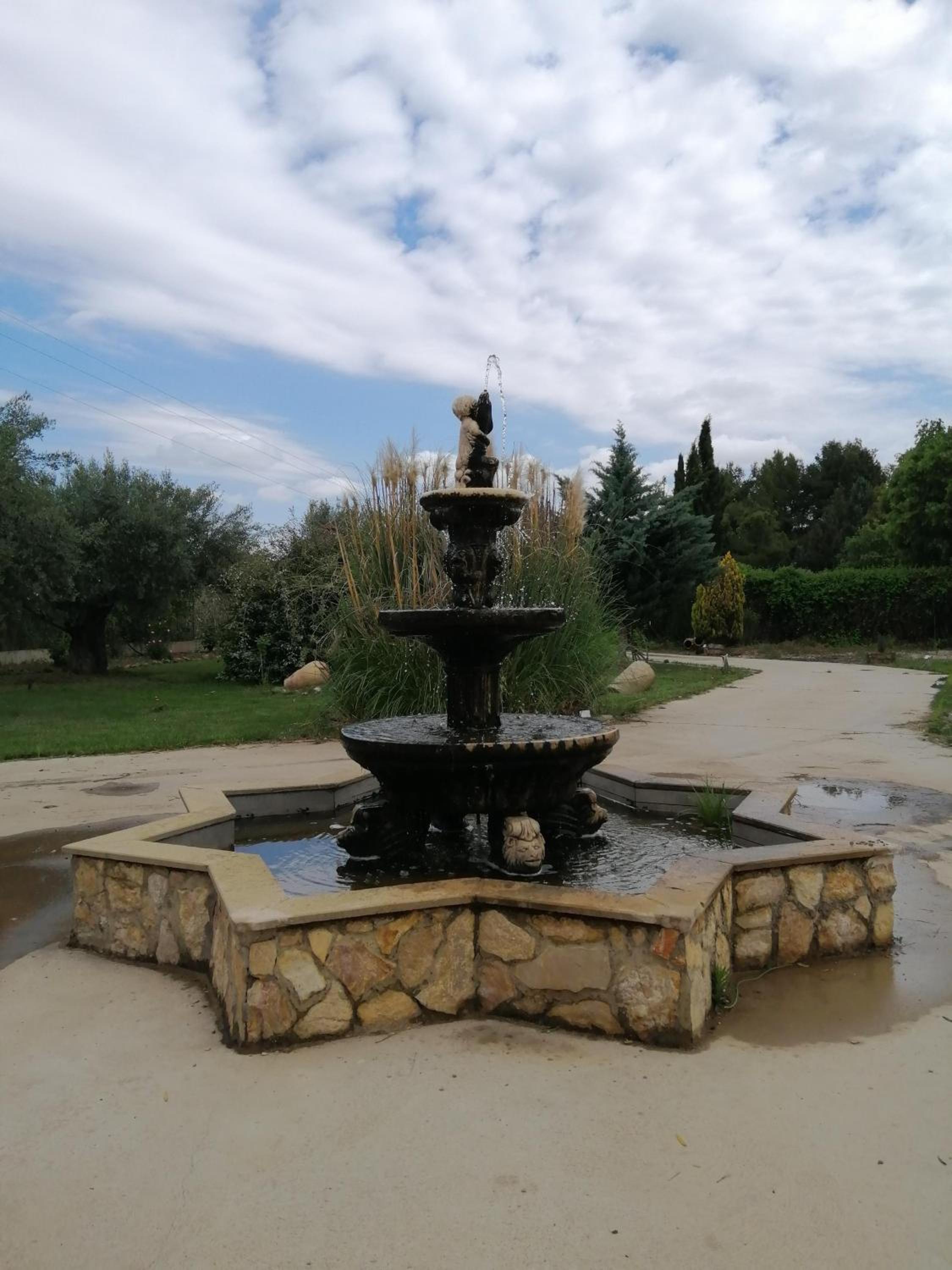 Photo 29