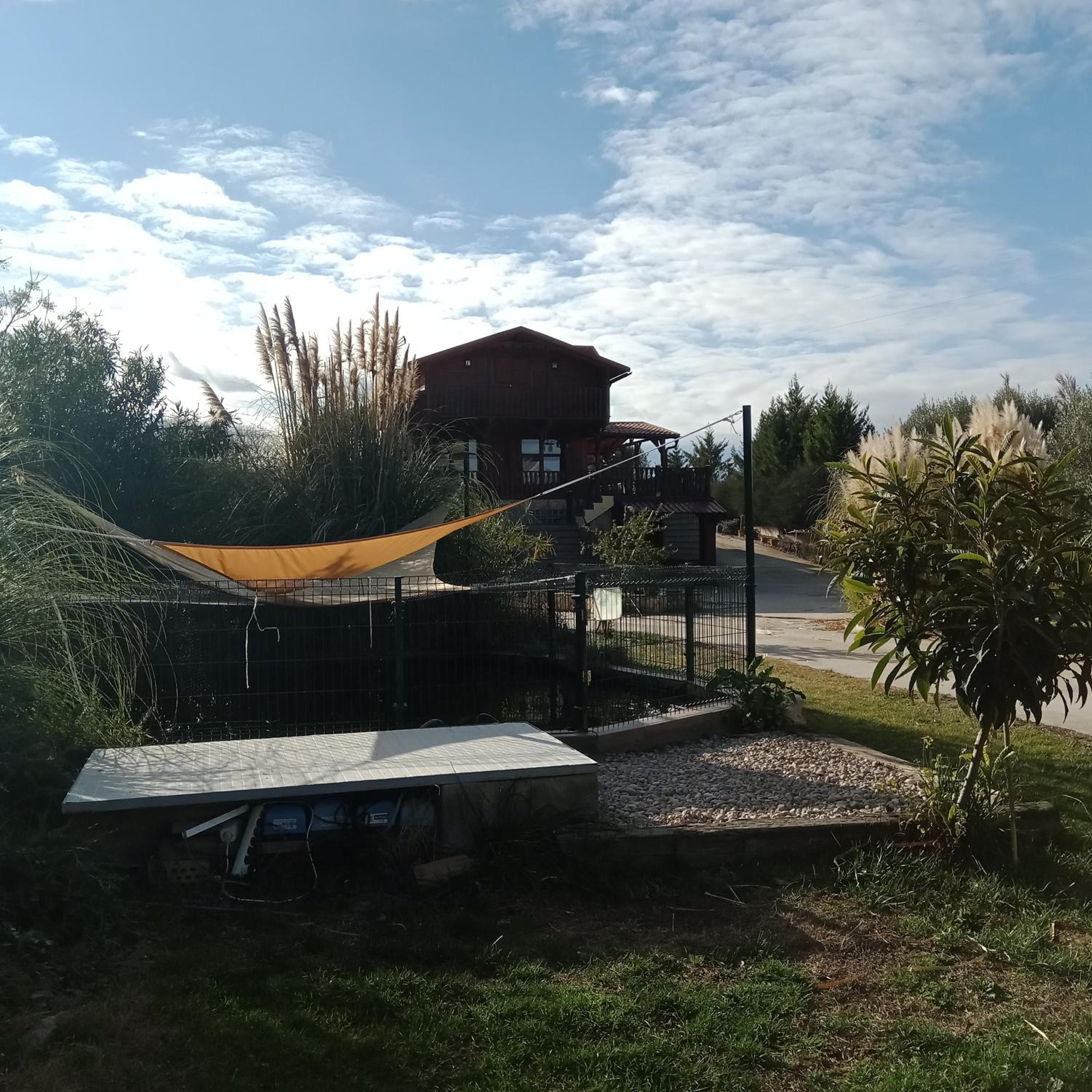 Photo 48