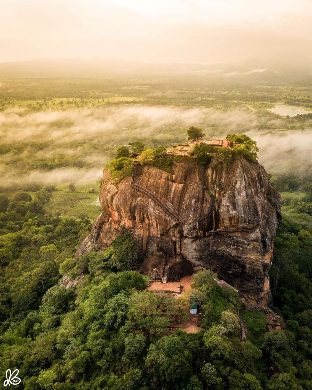 Hungry Lion Sigiriya