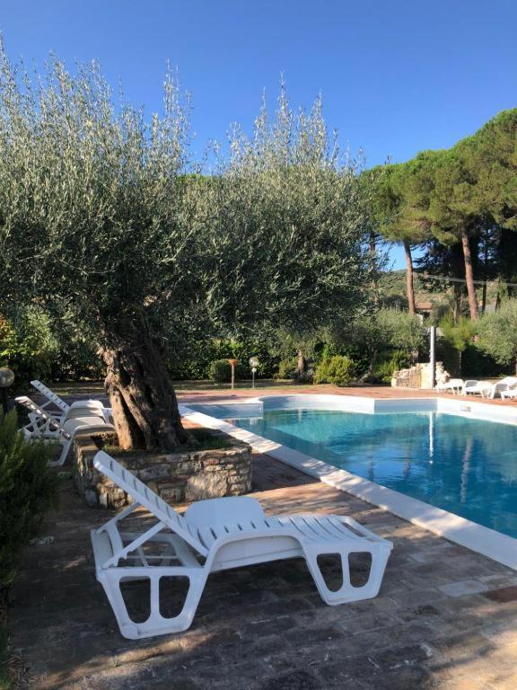 La Vita è Bella view 4