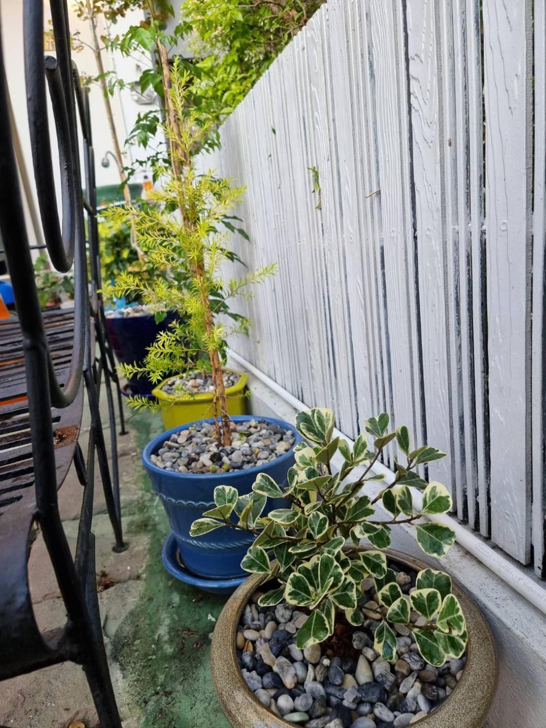 Photo 42