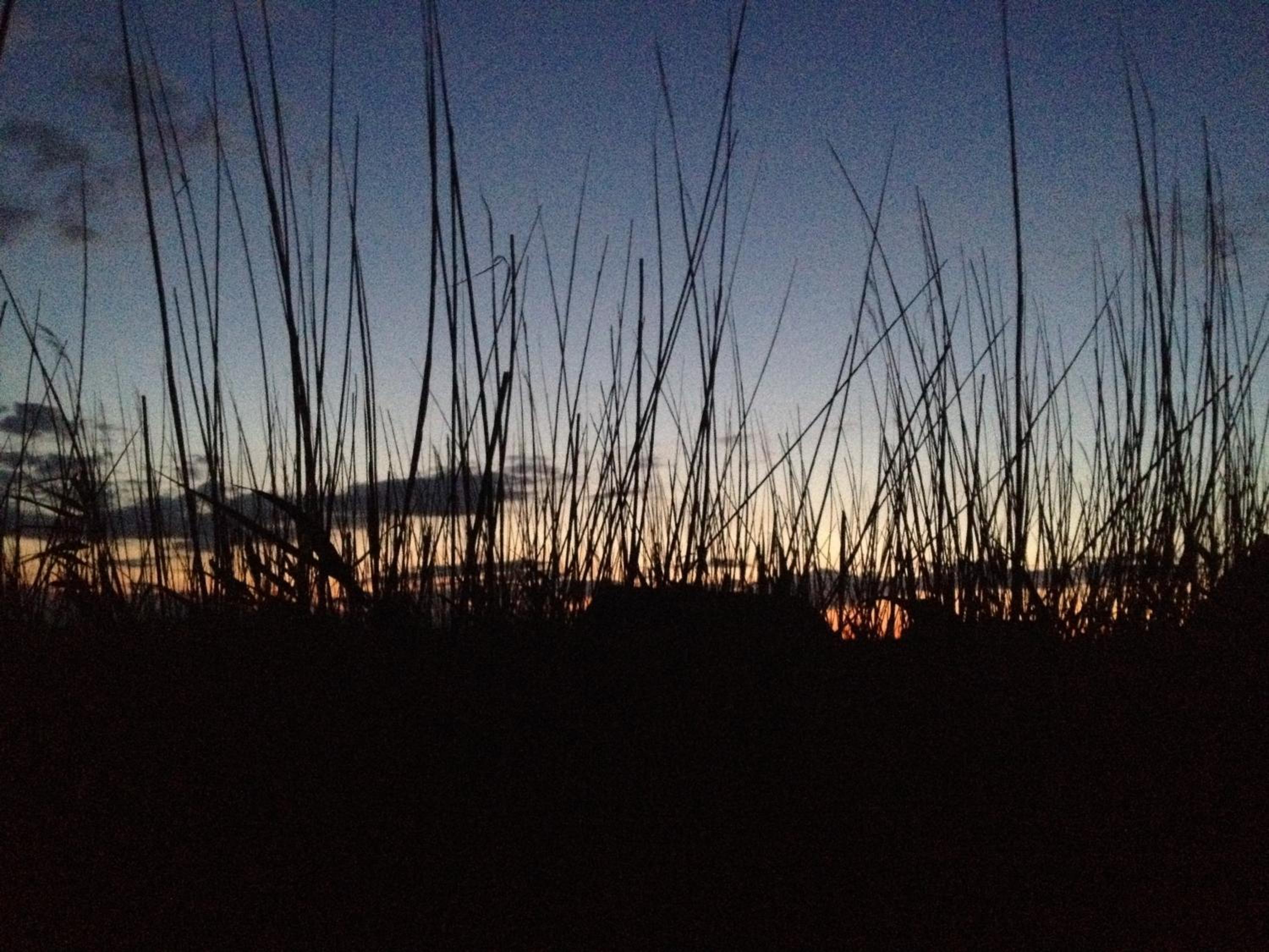 Seehütte Neusiedlersee - Pfahlbau GlamPing
