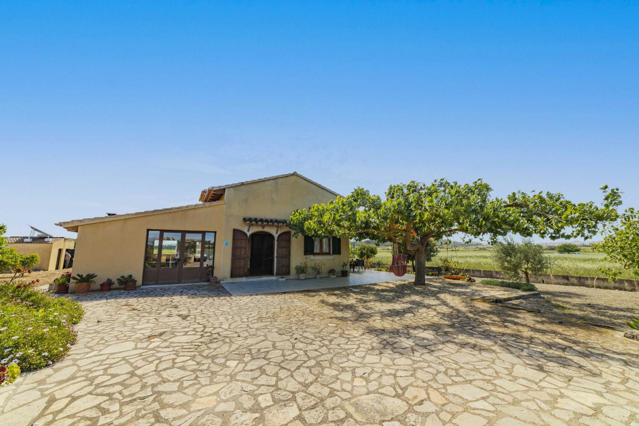 Villa Vernissa photo 3