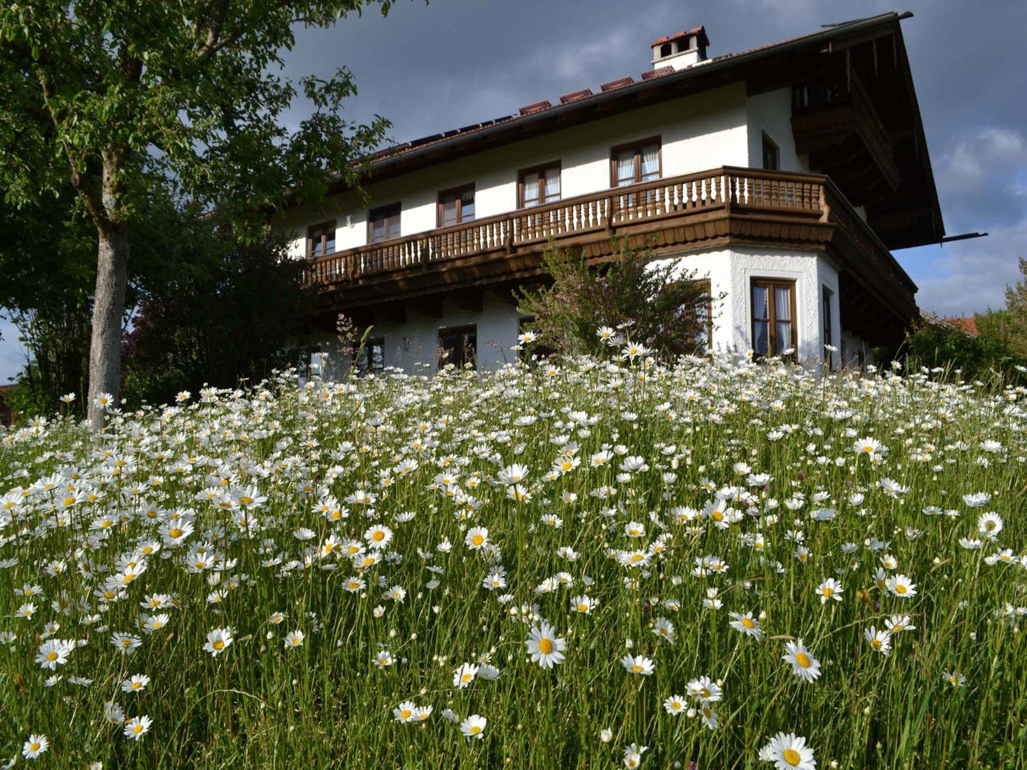 Pichler Roswitha view 3