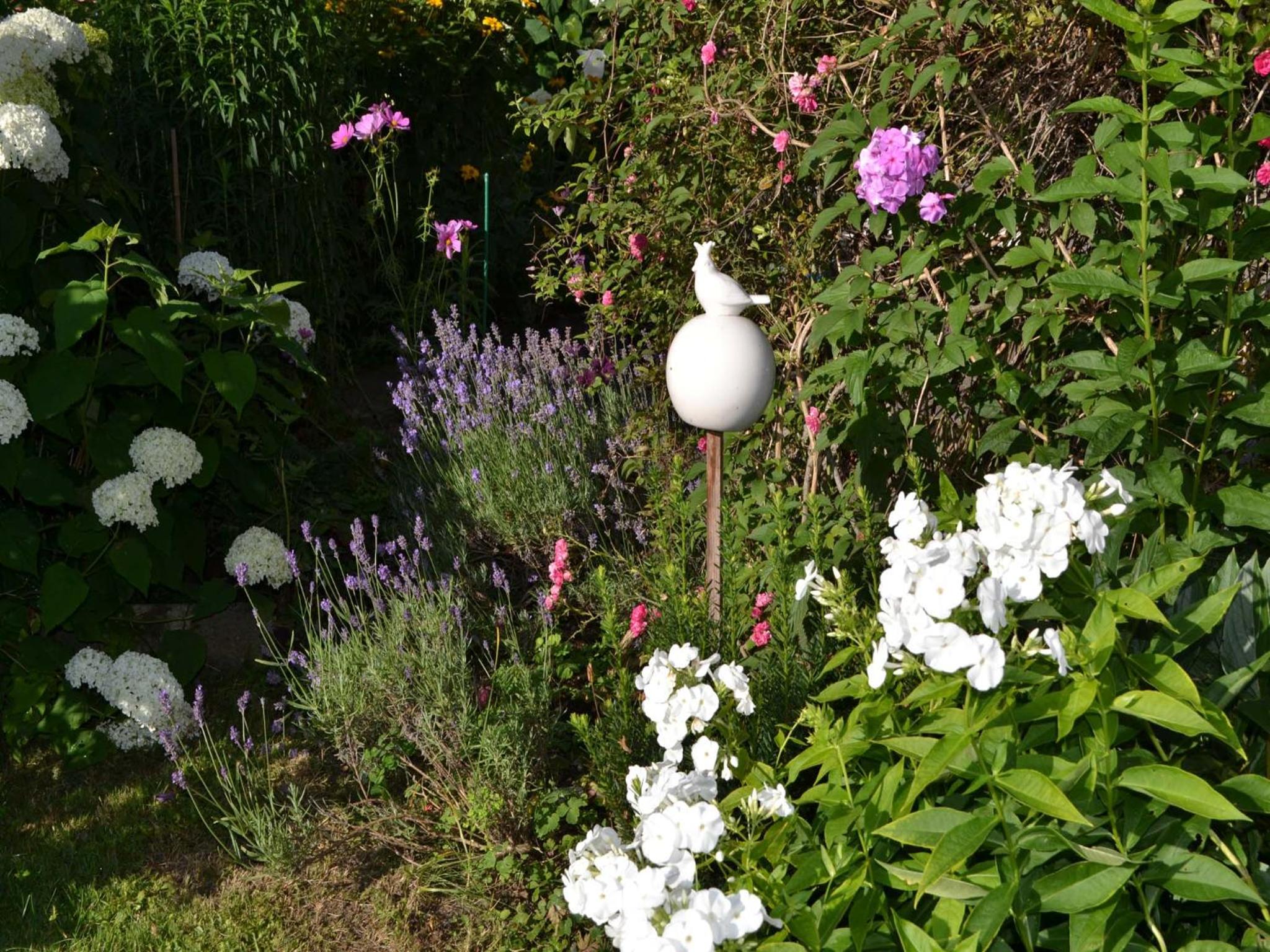 Pichler Roswitha view 4