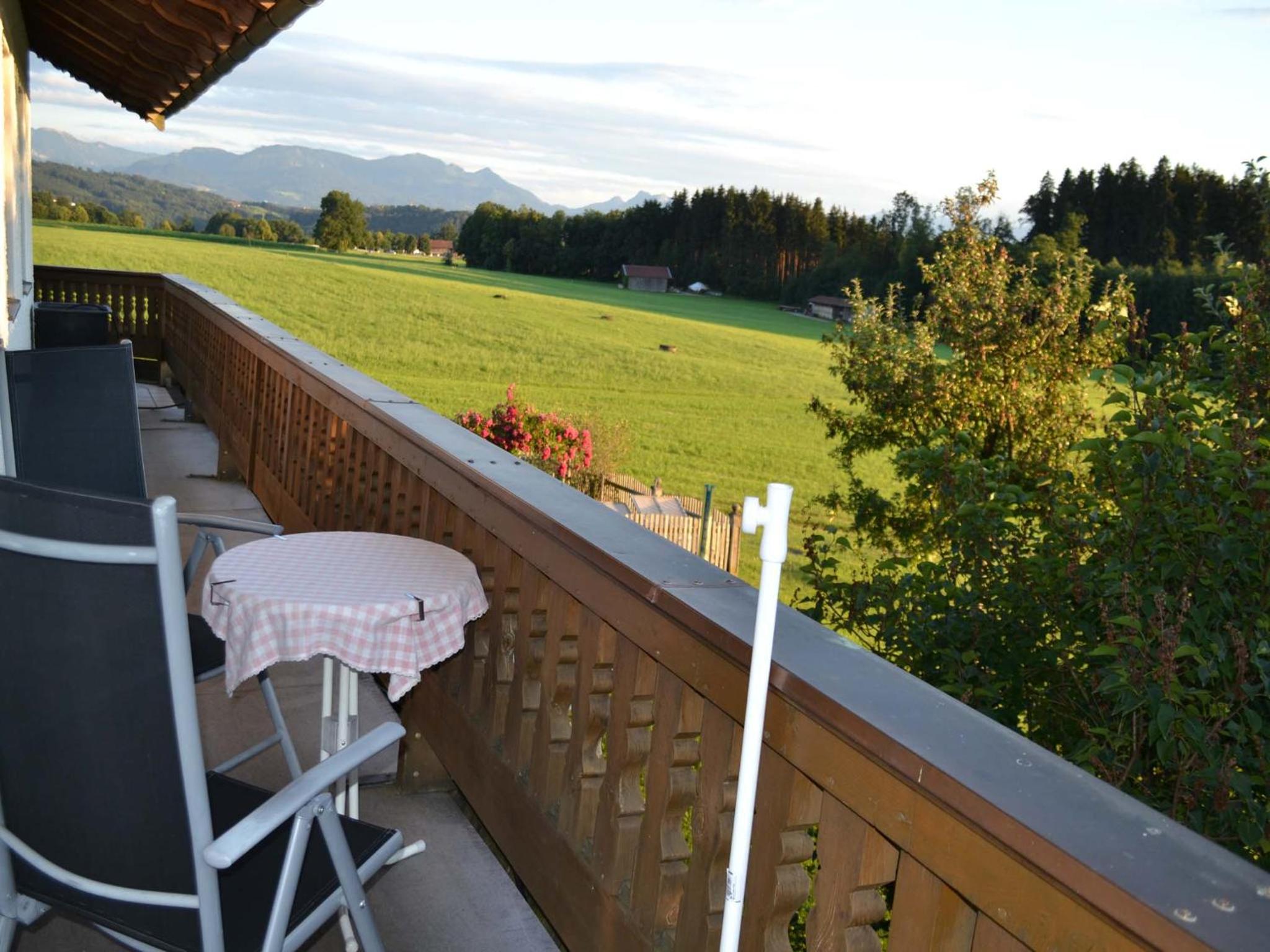 Pichler Roswitha view 5