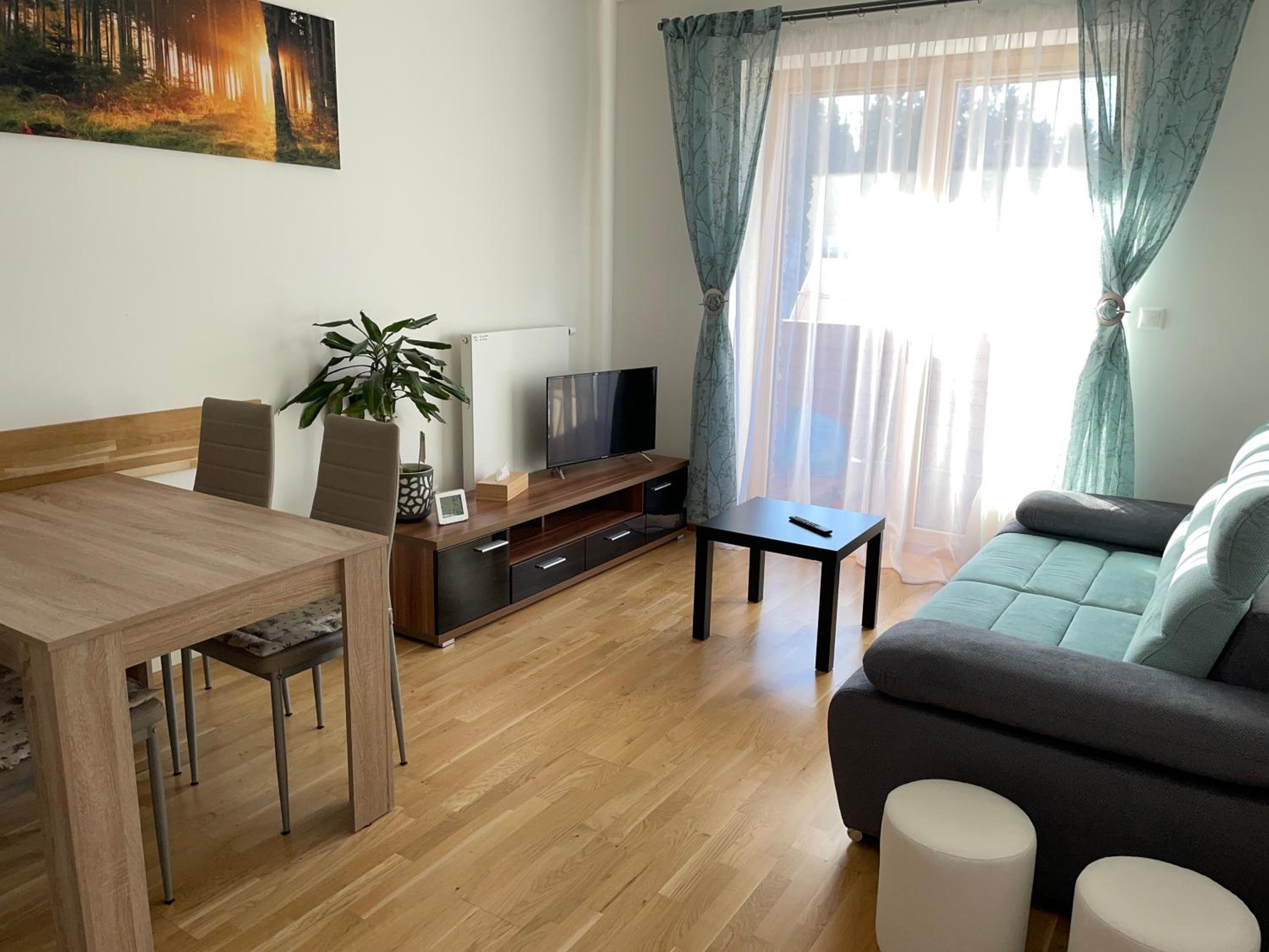 Apartmán Jitka - Slunečná louka view 4