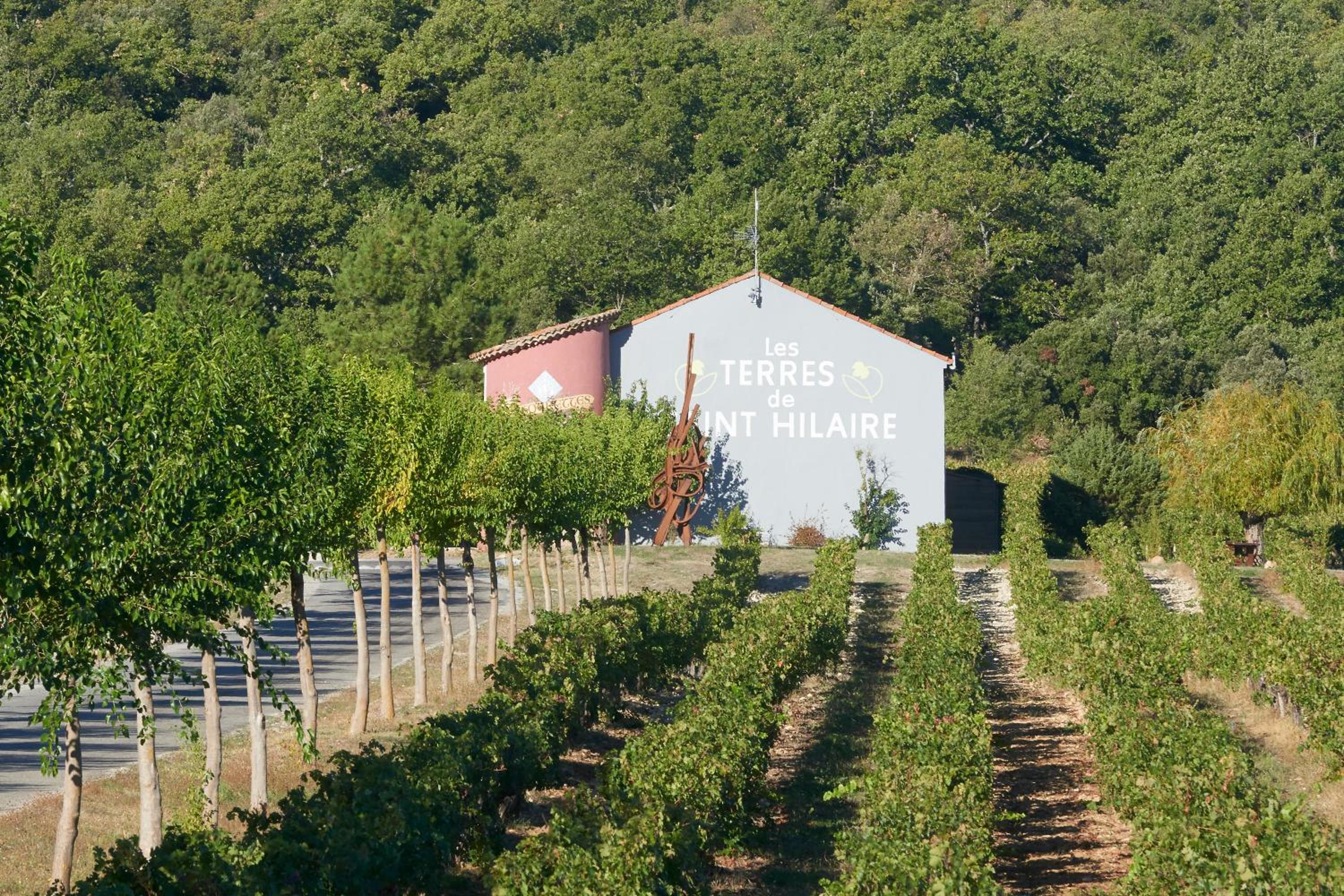Domaine Les Terres de Saint-Hilaire view 5
