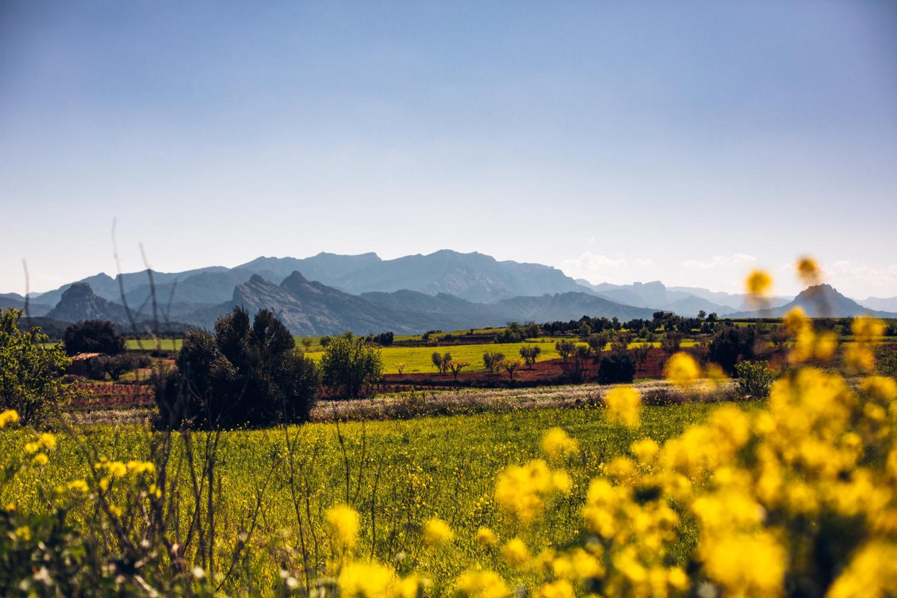 Cal Tomas, Ecoturisme Terra Alta