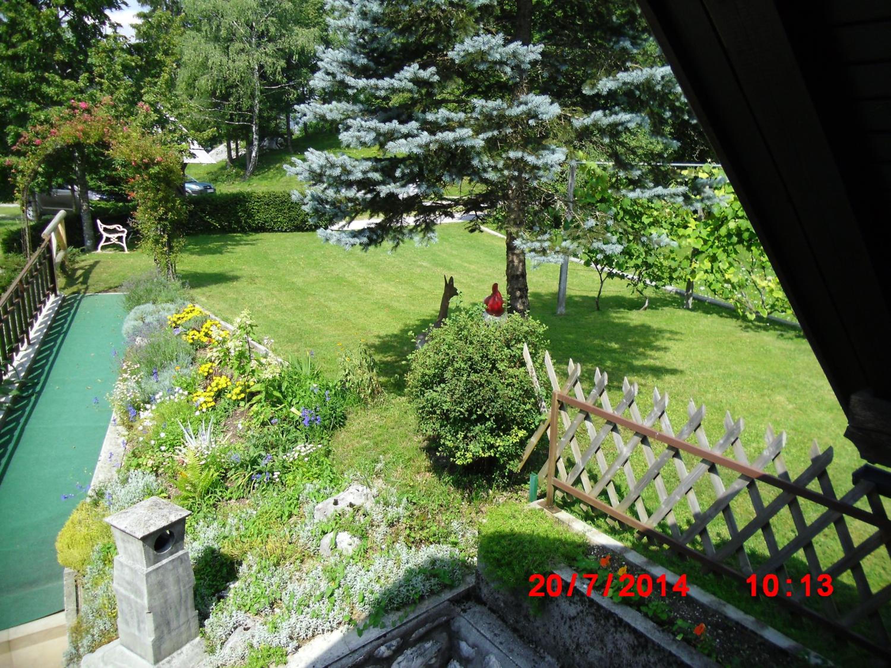 Photo 10