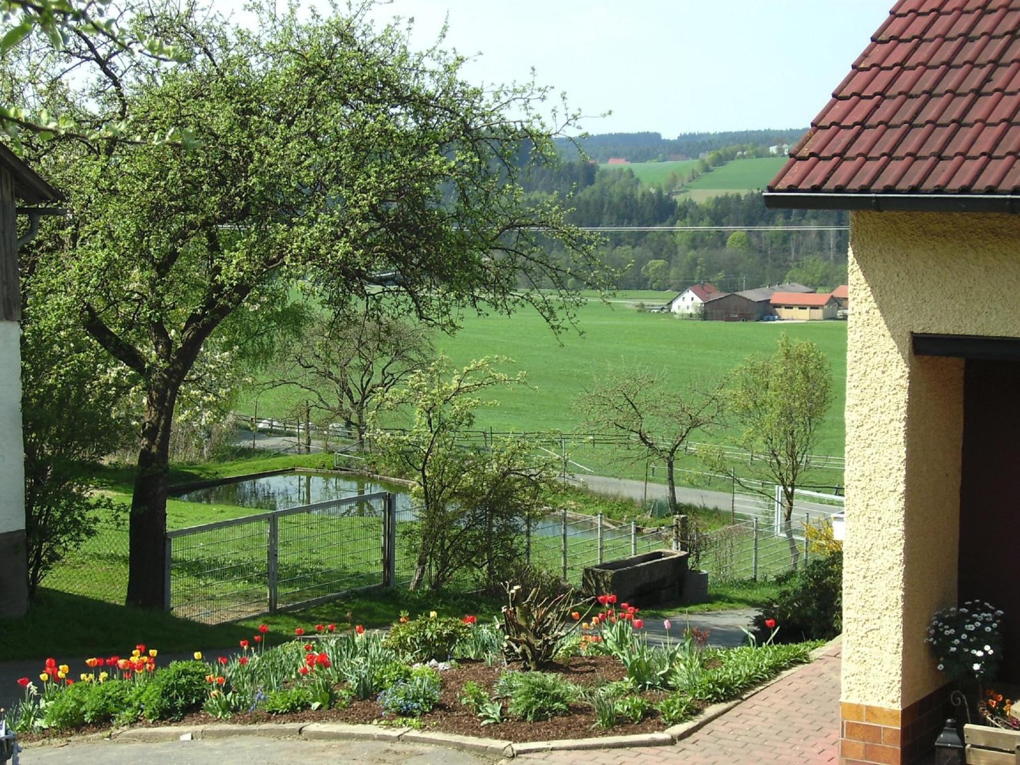 Ferienhaus Heuberger - Property Image 4