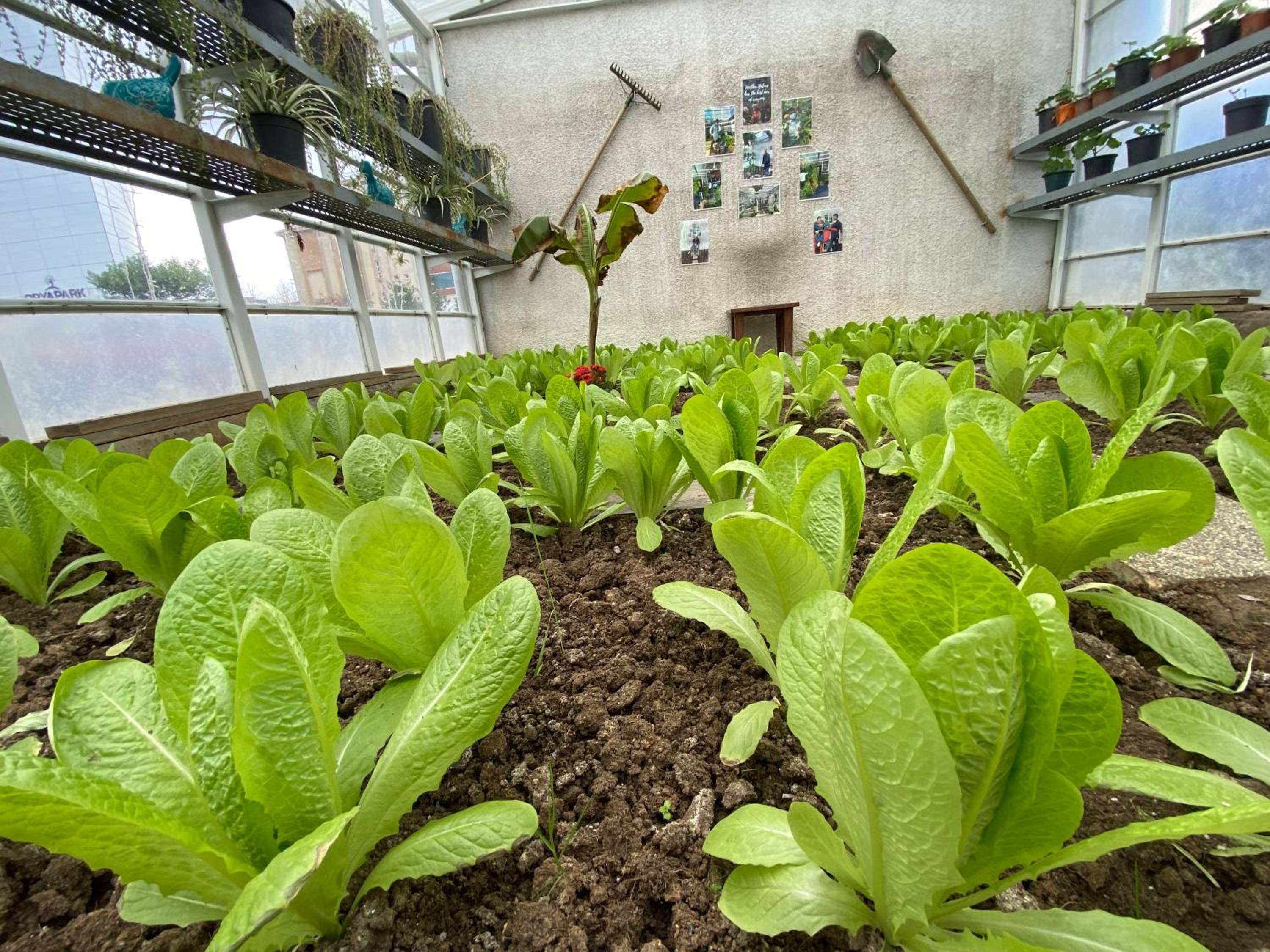 Crowne Plaza İstanbul Oryapark, bir IHG Oteli - Image 9