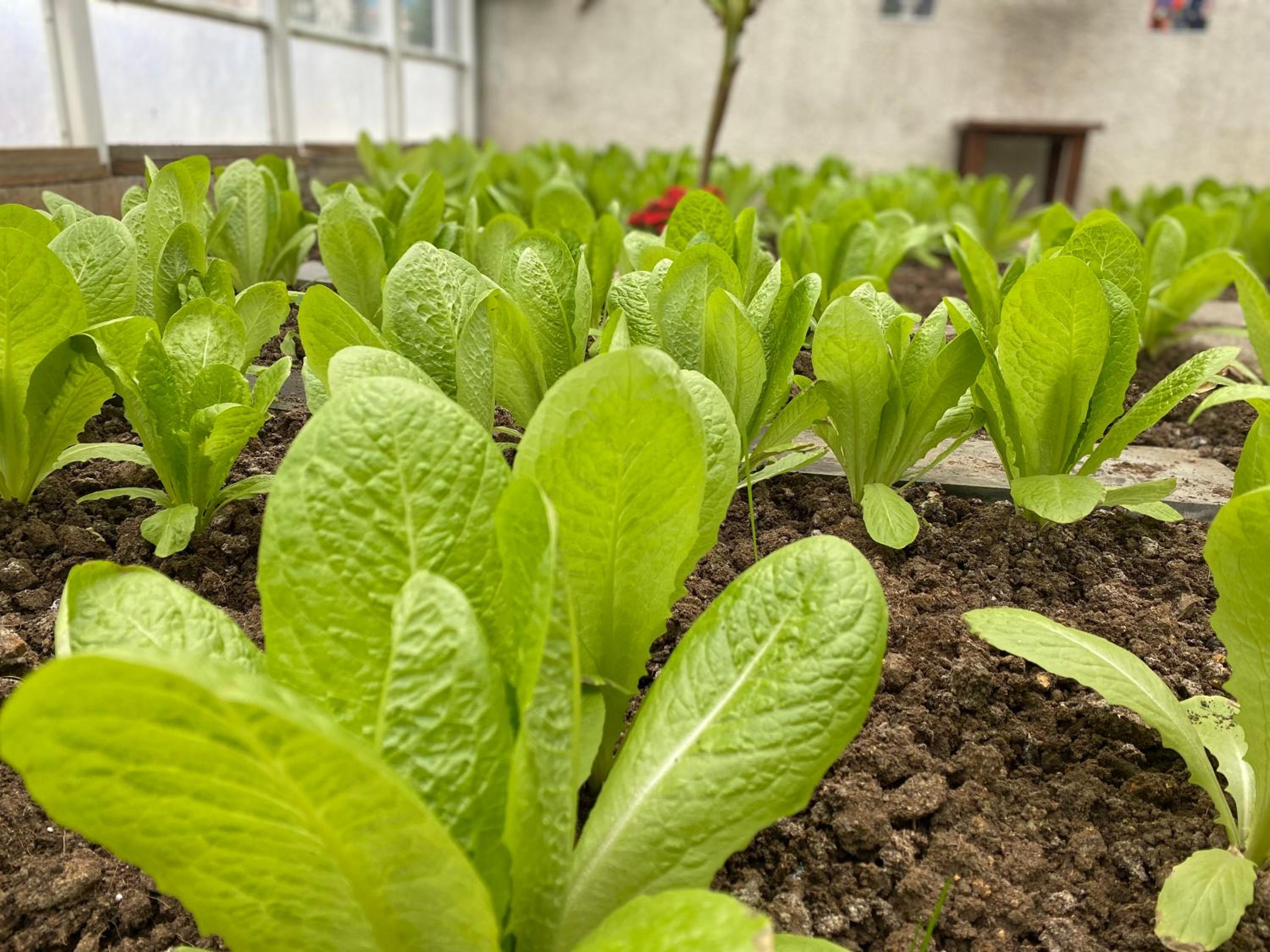 Crowne Plaza İstanbul Oryapark, bir IHG Oteli - Image 10