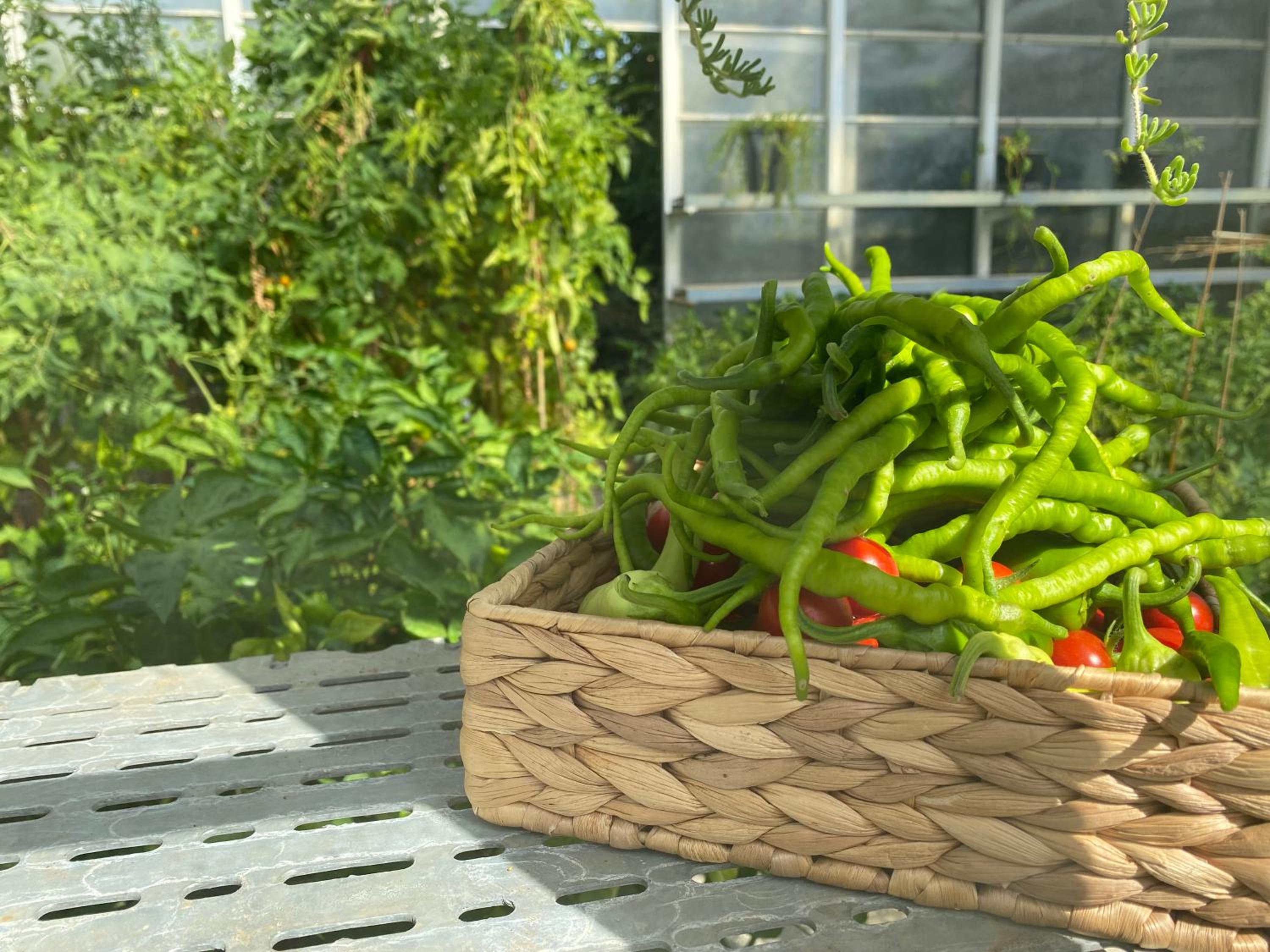 Crowne Plaza İstanbul Oryapark, bir IHG Oteli - Image 12