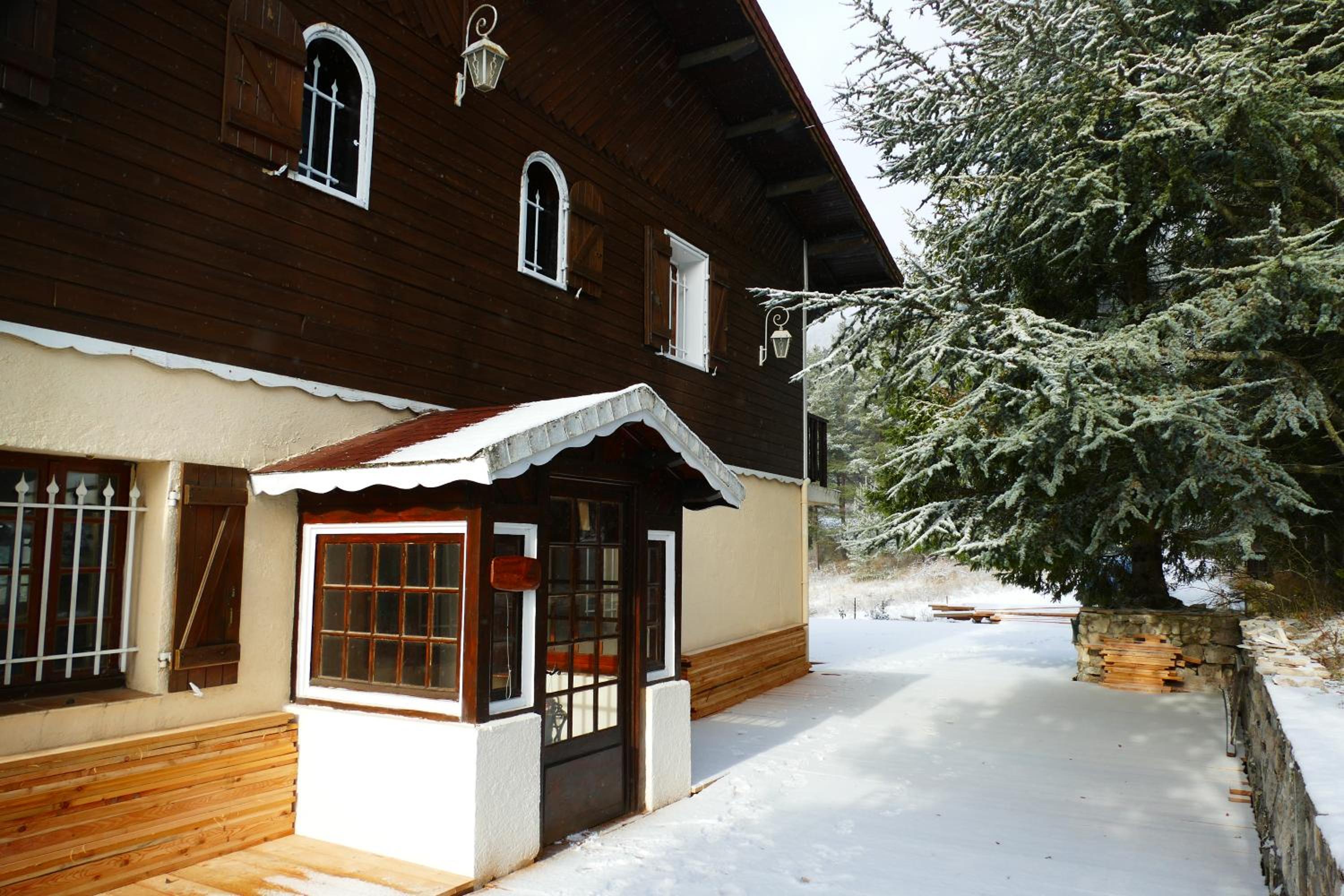 Photo 31