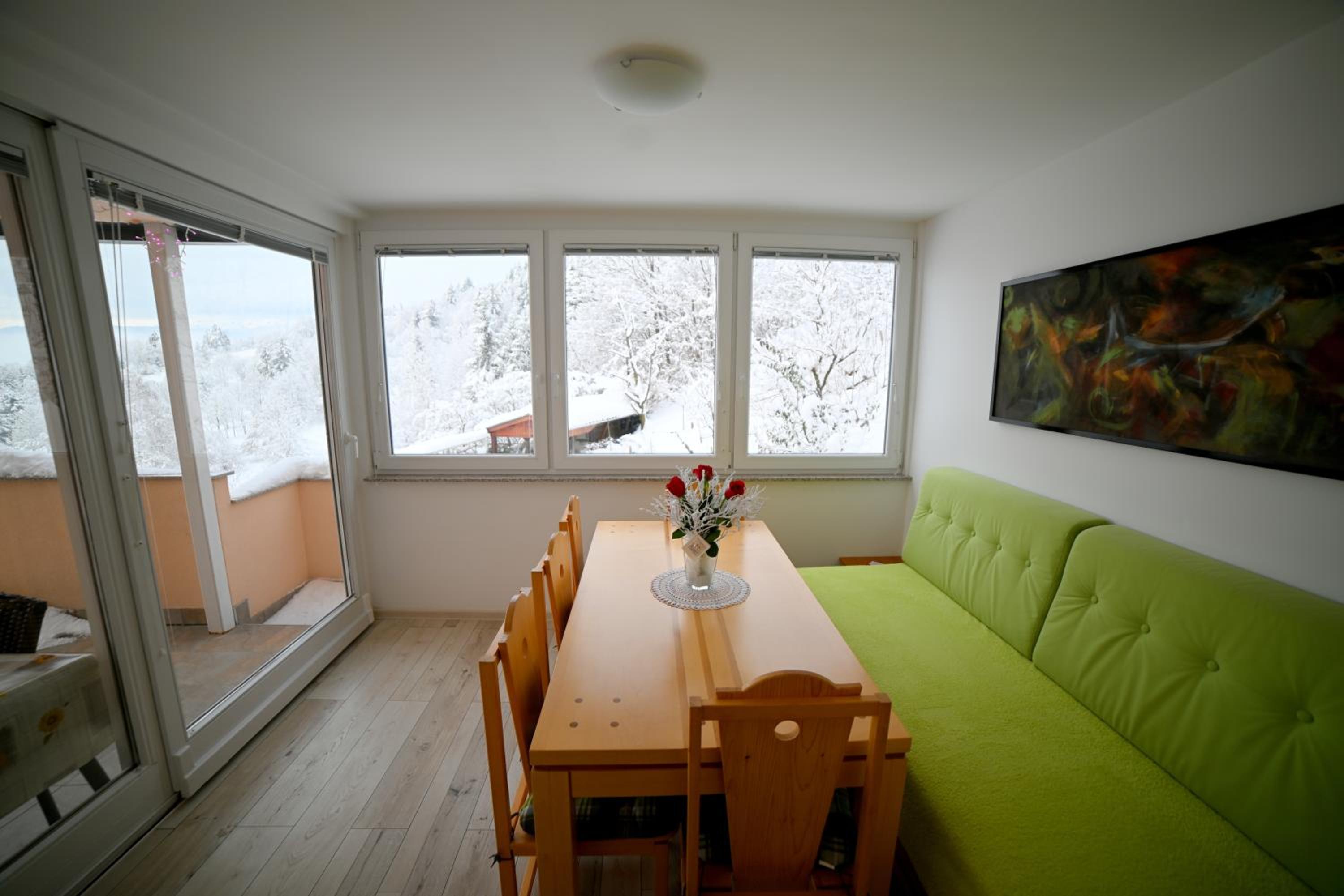 Apartma Metka Leše Tržič view 2