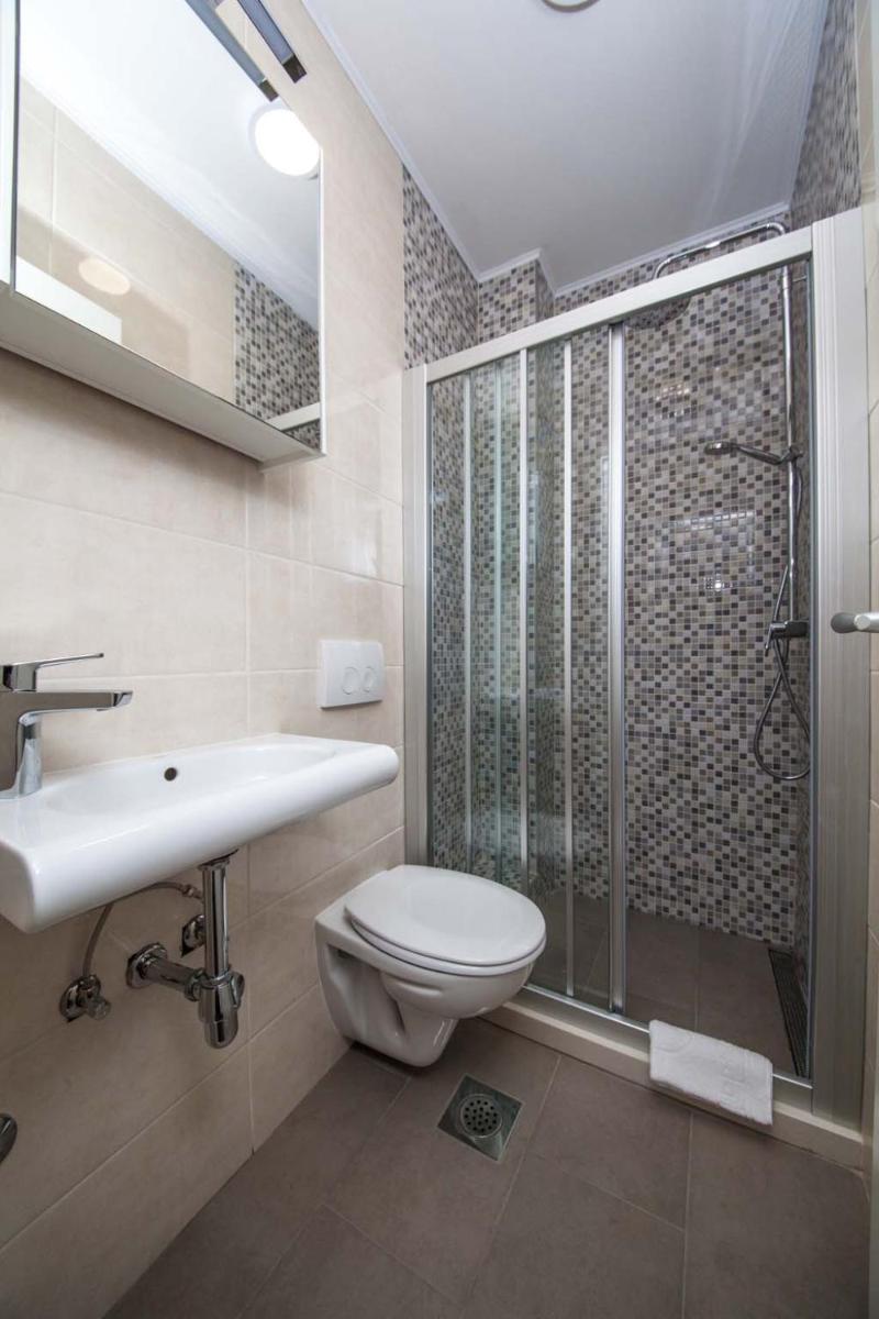 Apartman Vesna view 5