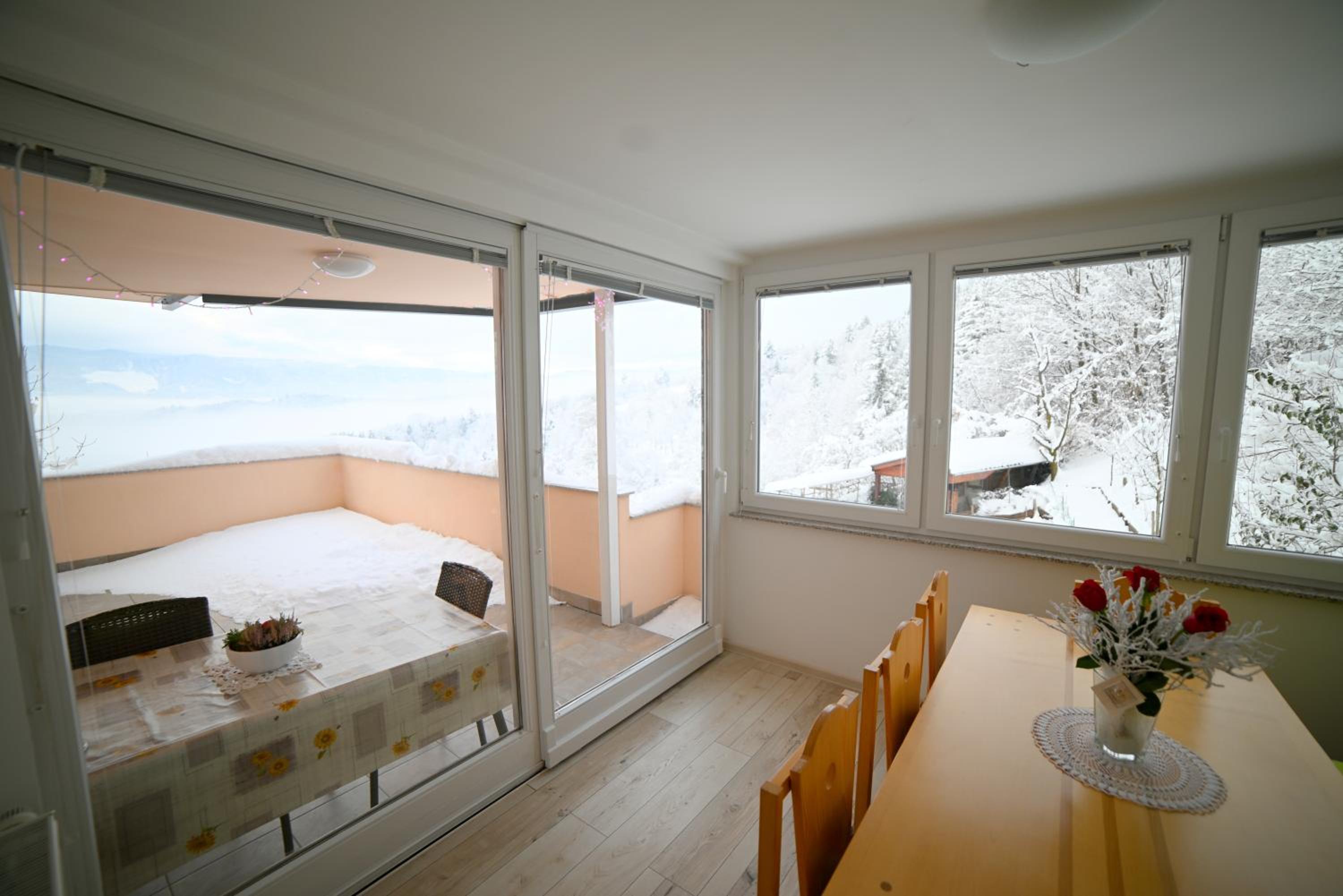 Apartma Metka Leše Tržič view 3