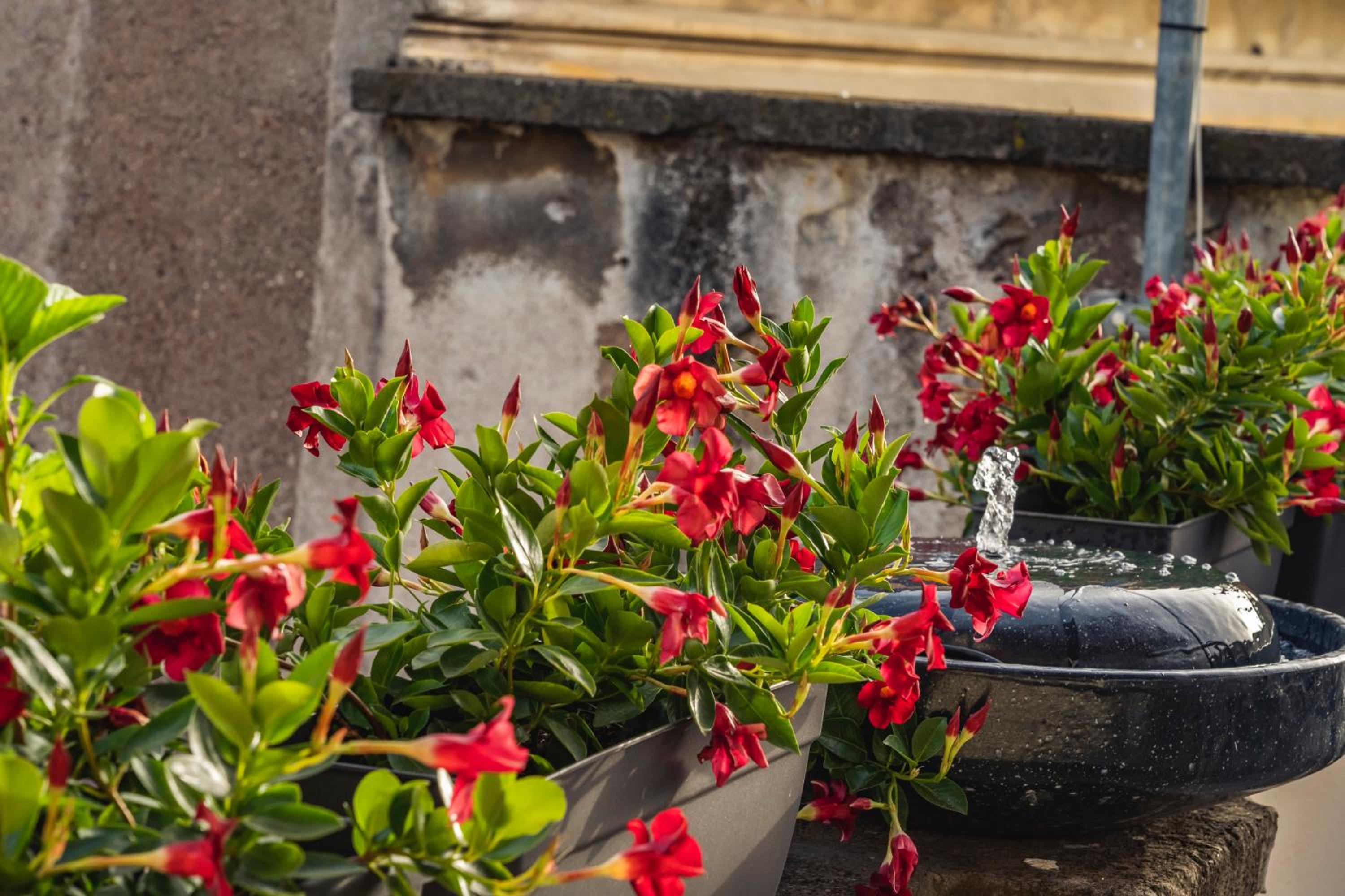 AG Spanish Steps Terrace