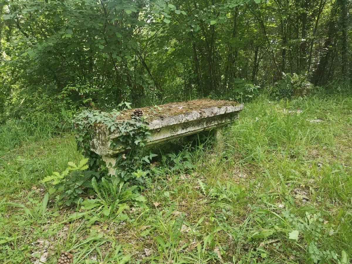 Photo 22