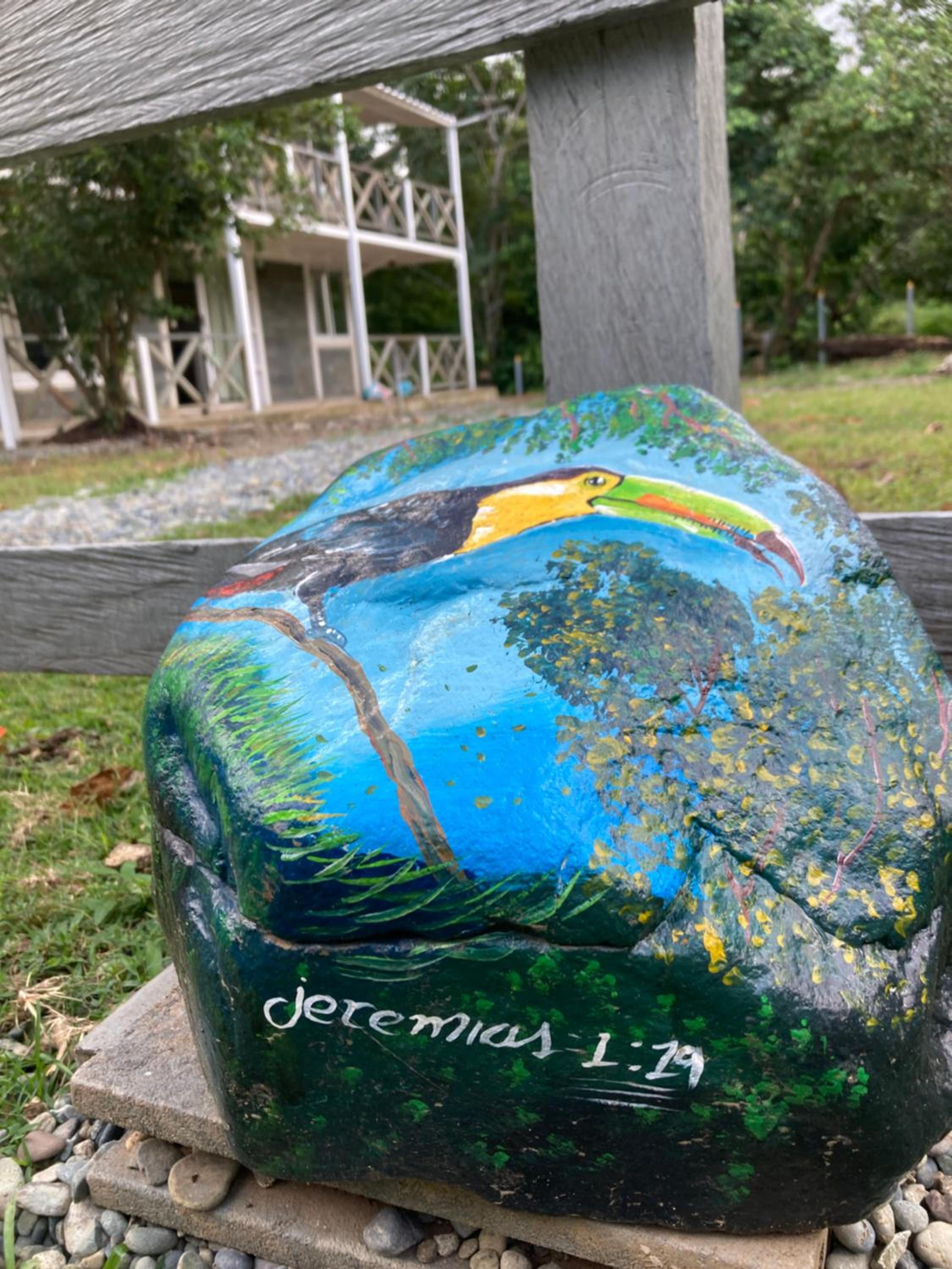 Photo 17