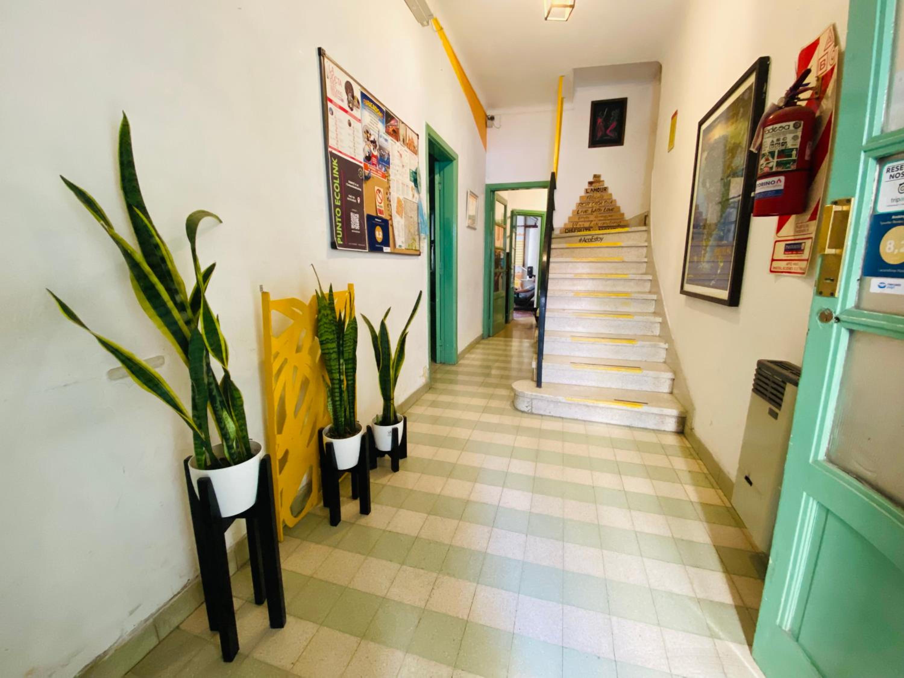Lacandona Hostel