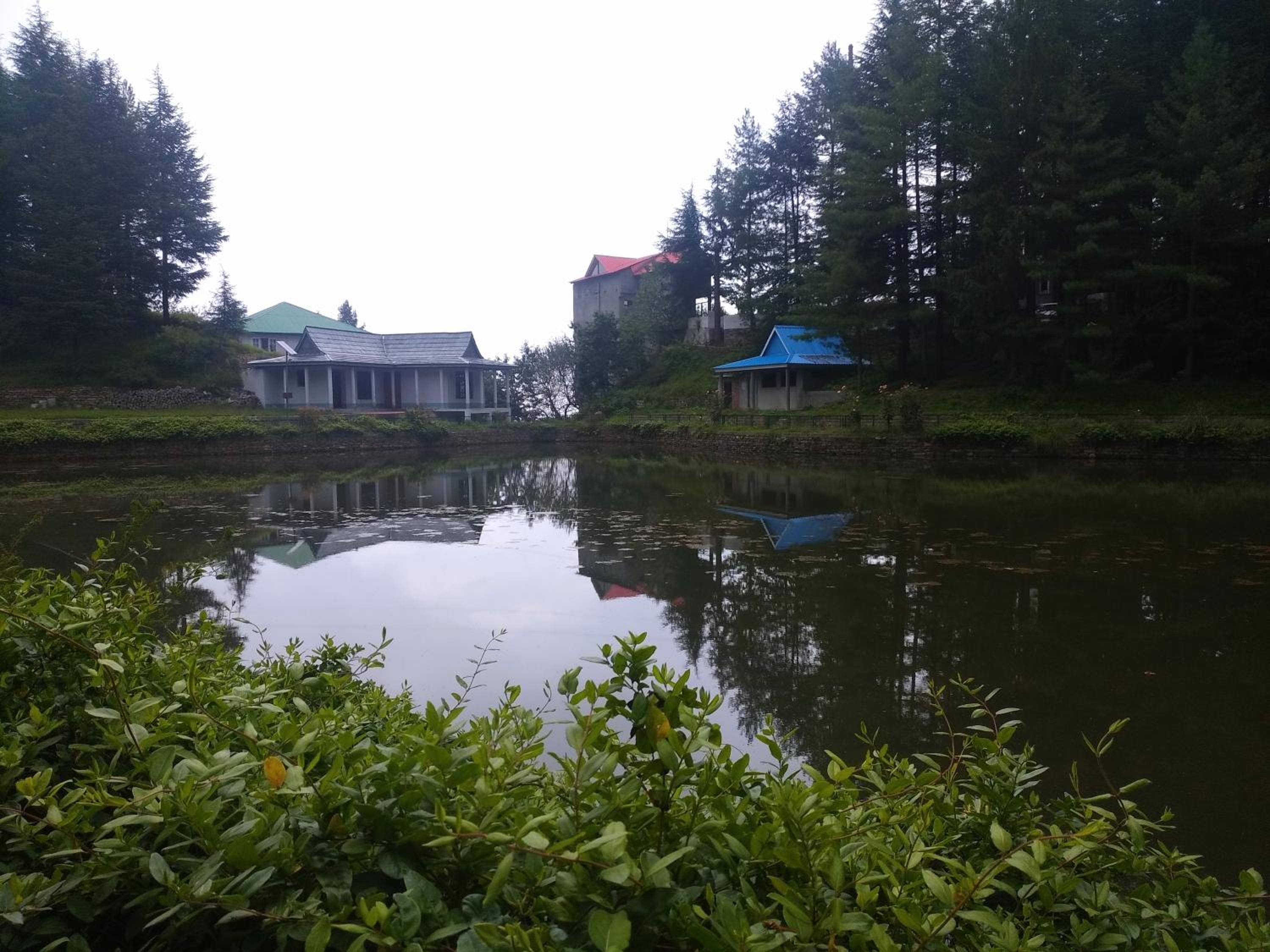 Photo 8