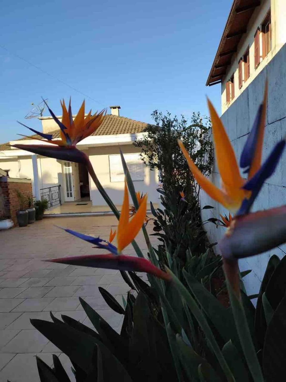 Casa em bairro nobre, bem localizada, com suite.