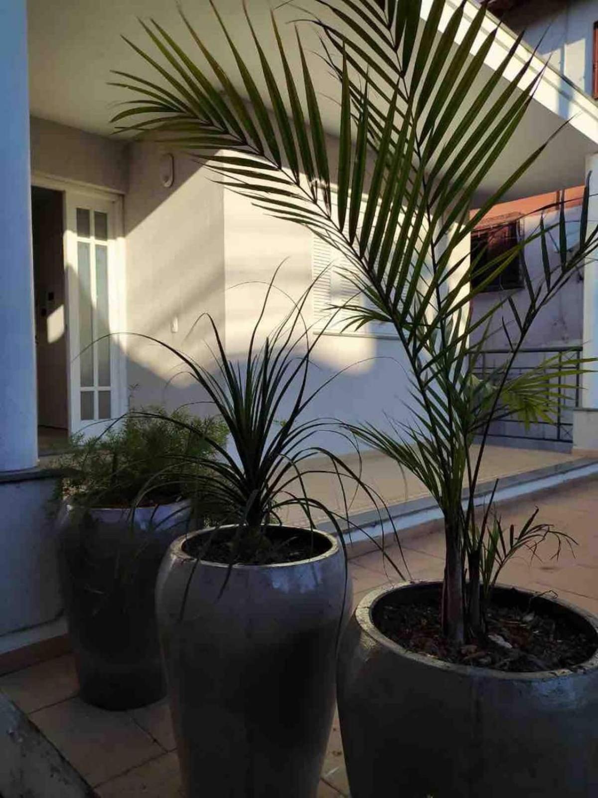 Casa em bairro nobre, bem localizada, com suite.