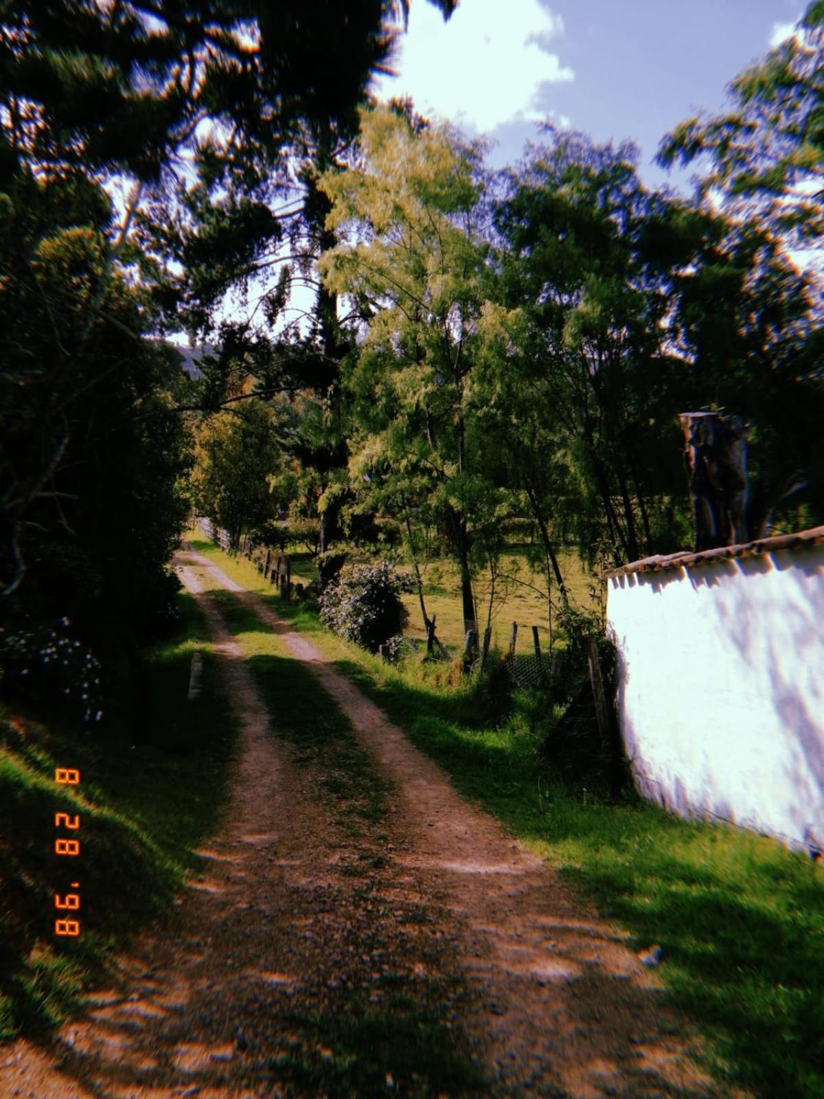 other