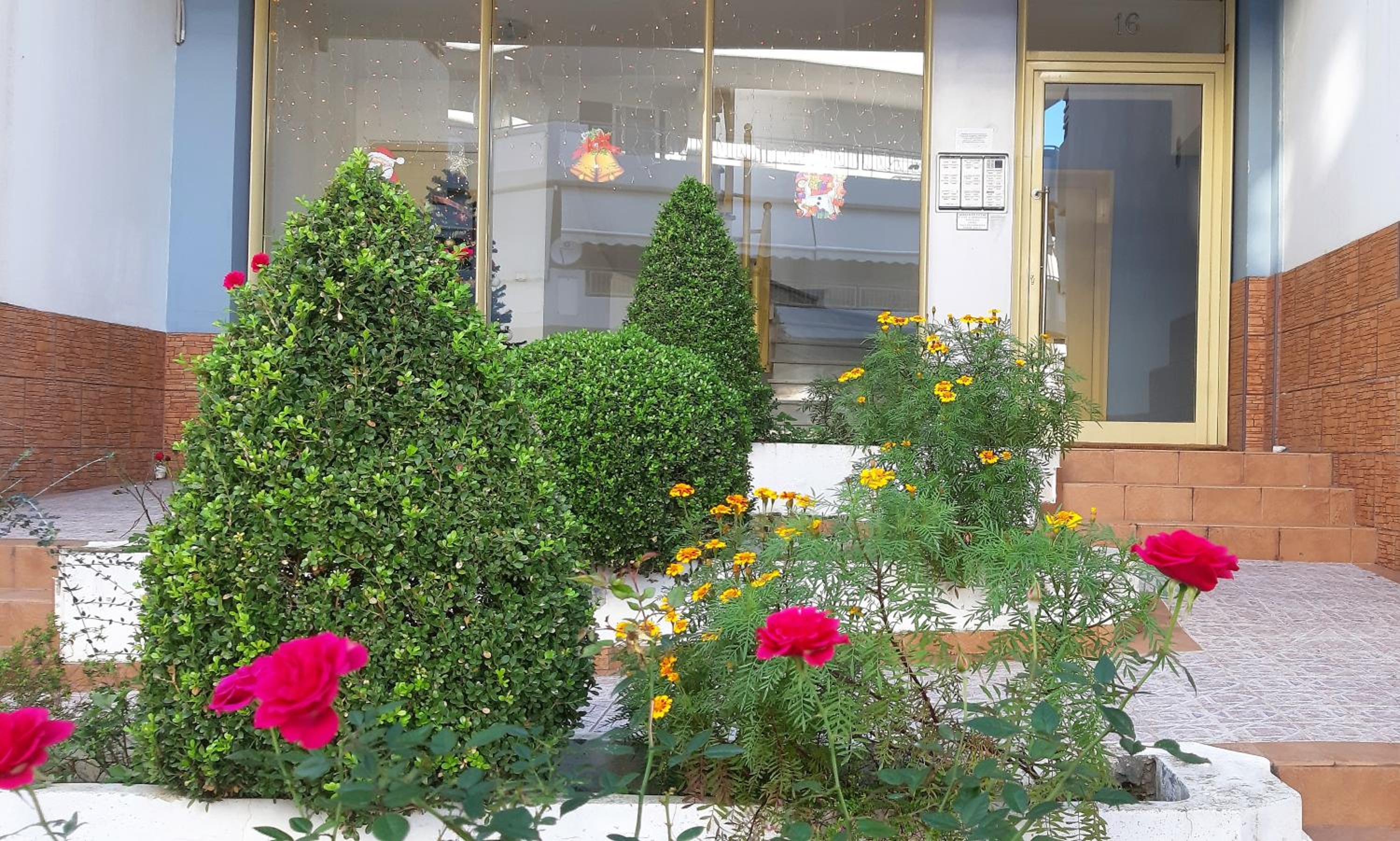 Photo 21