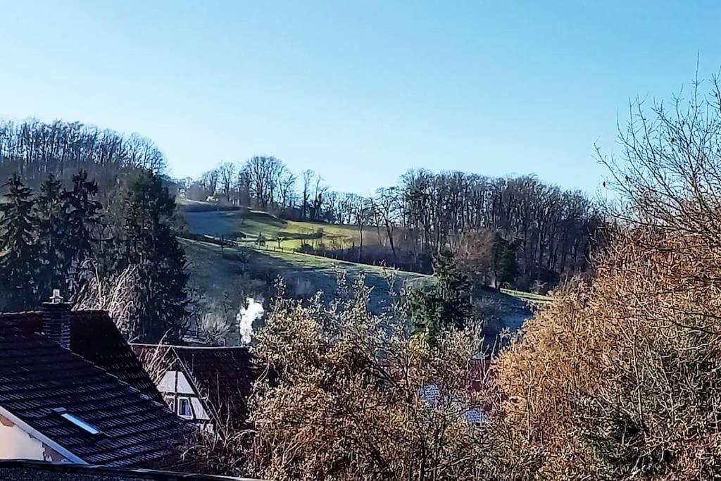Kleine, gemütliche Dachgeschosswohnung