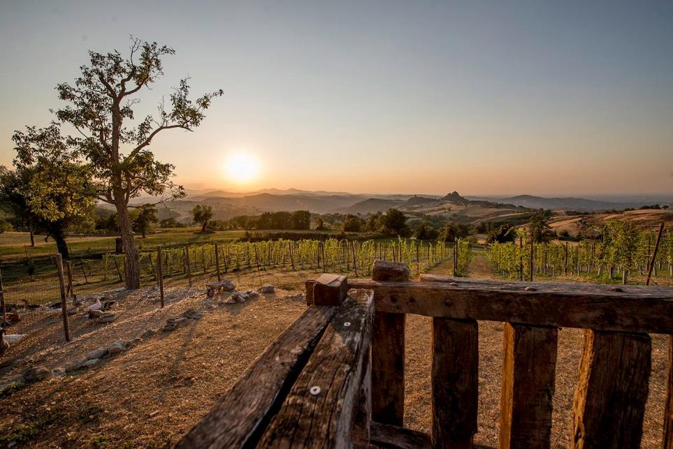 Fattoria Branciana view 4