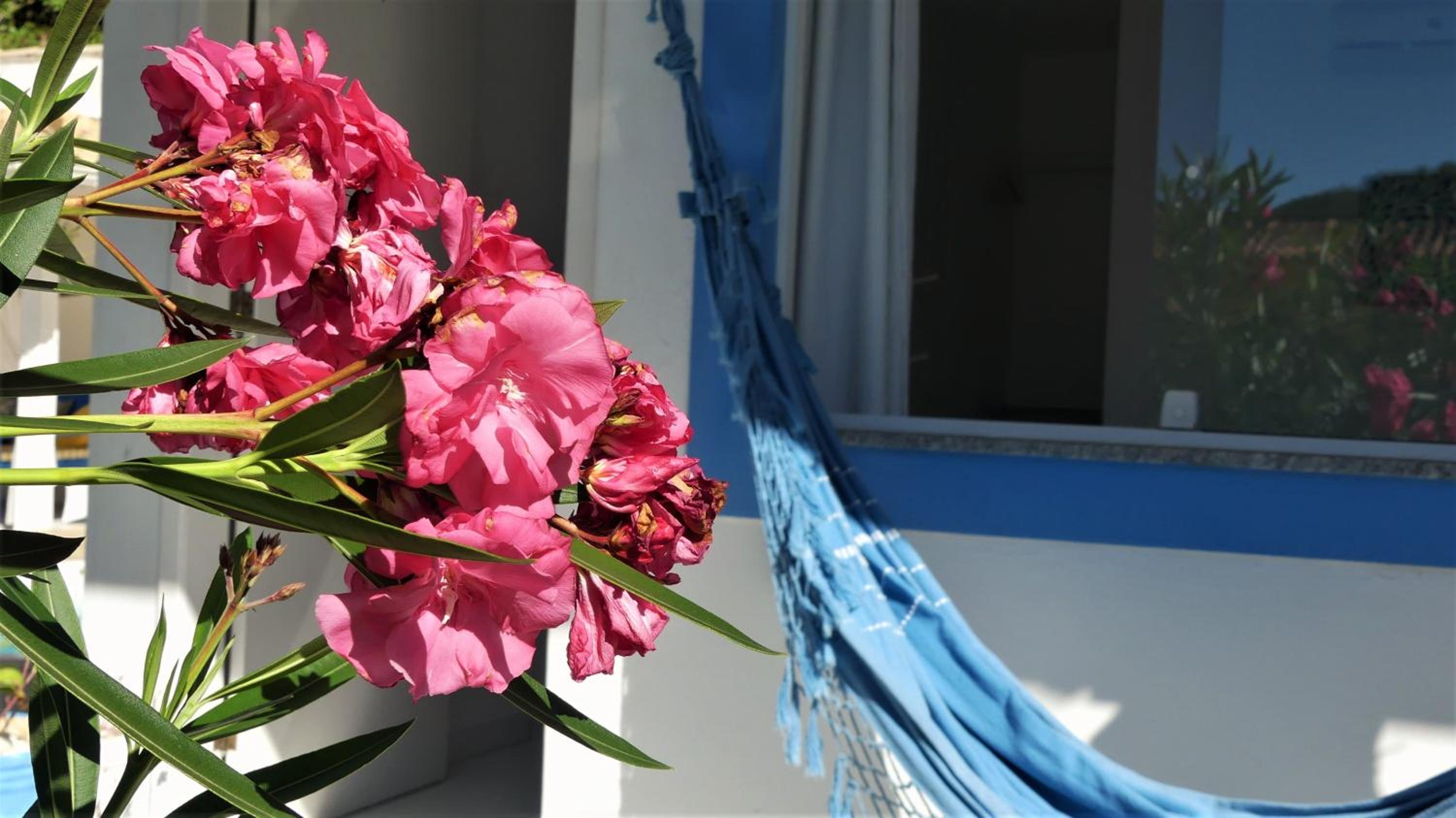 Estrela Azul Guest House Búzios