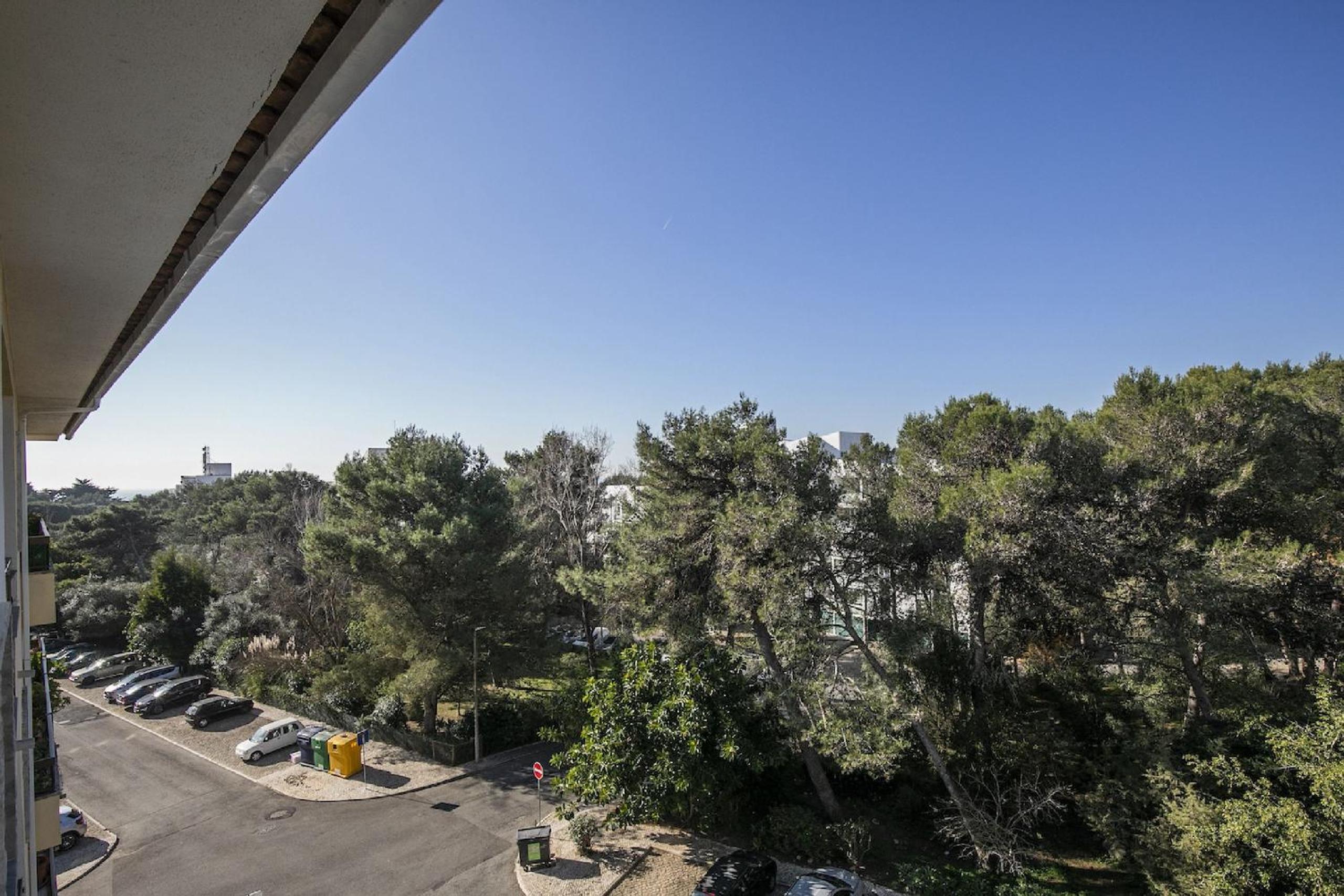 Guia Alamos Duplex Apartment view 3