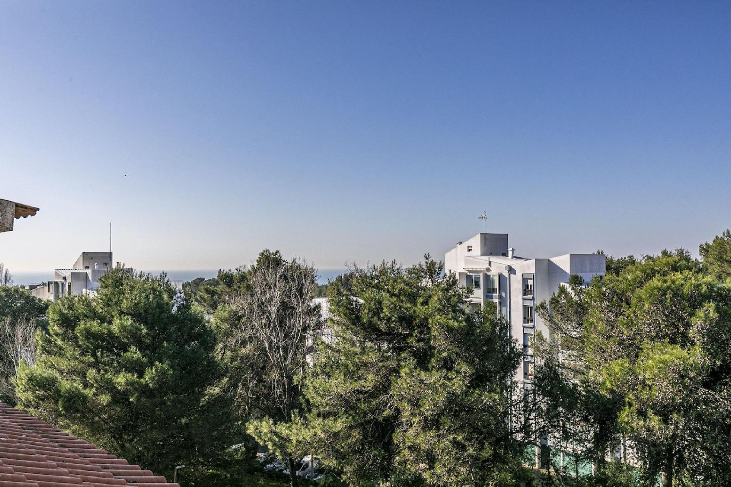 Guia Alamos Duplex Apartment view 5