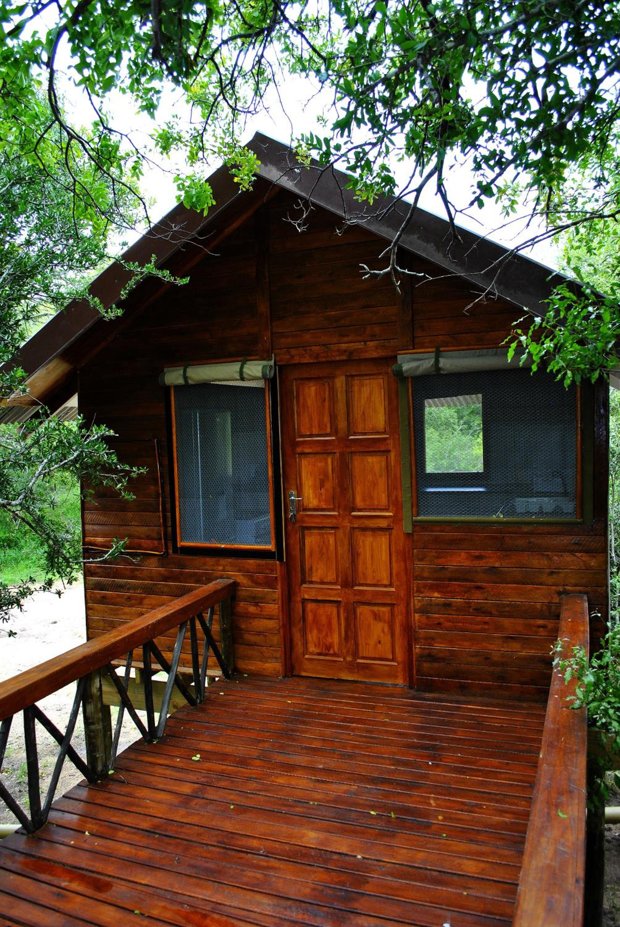 Lion Tree Top Lodge