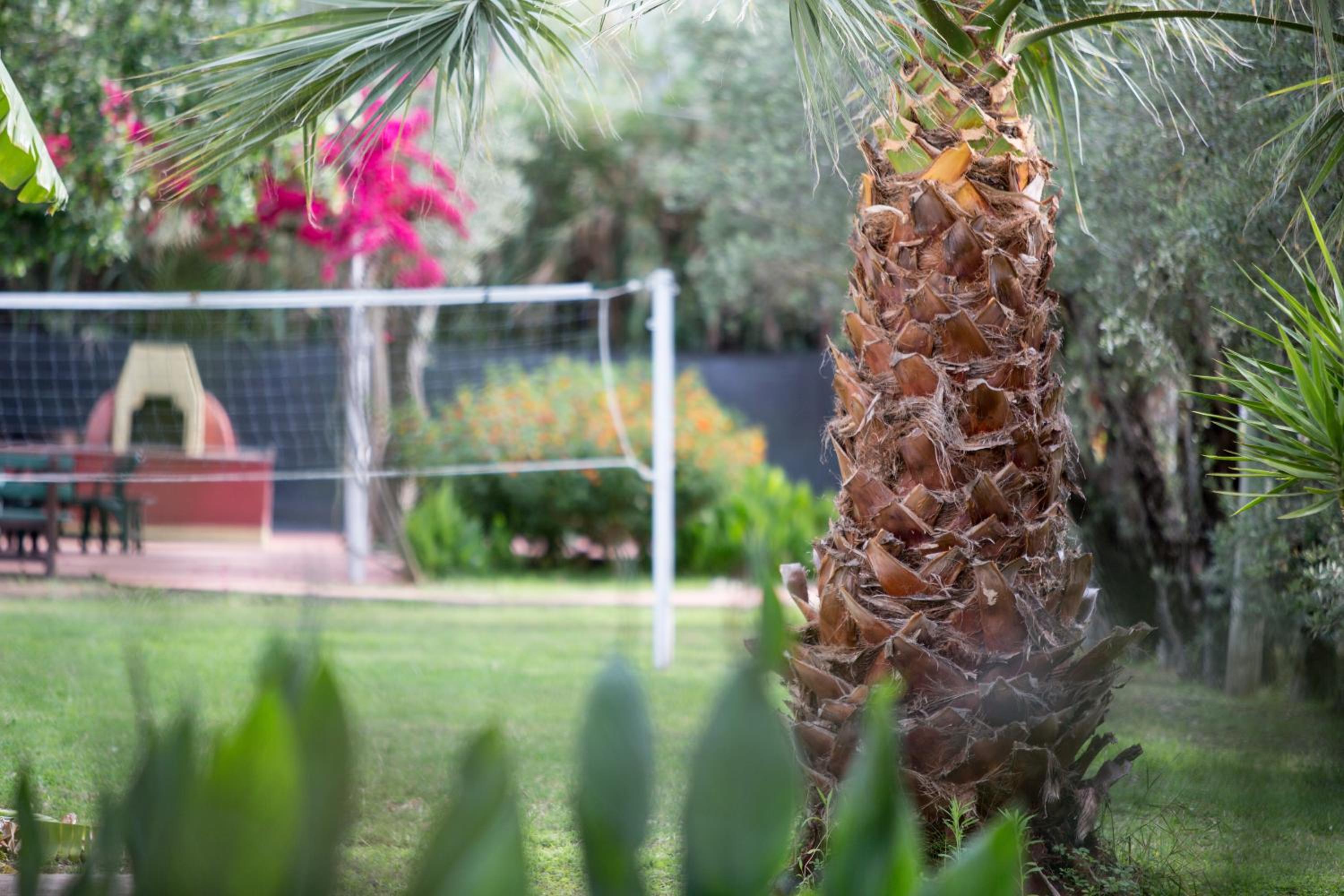 Case e Appartamenti Vacanze a Bivona - sul mare