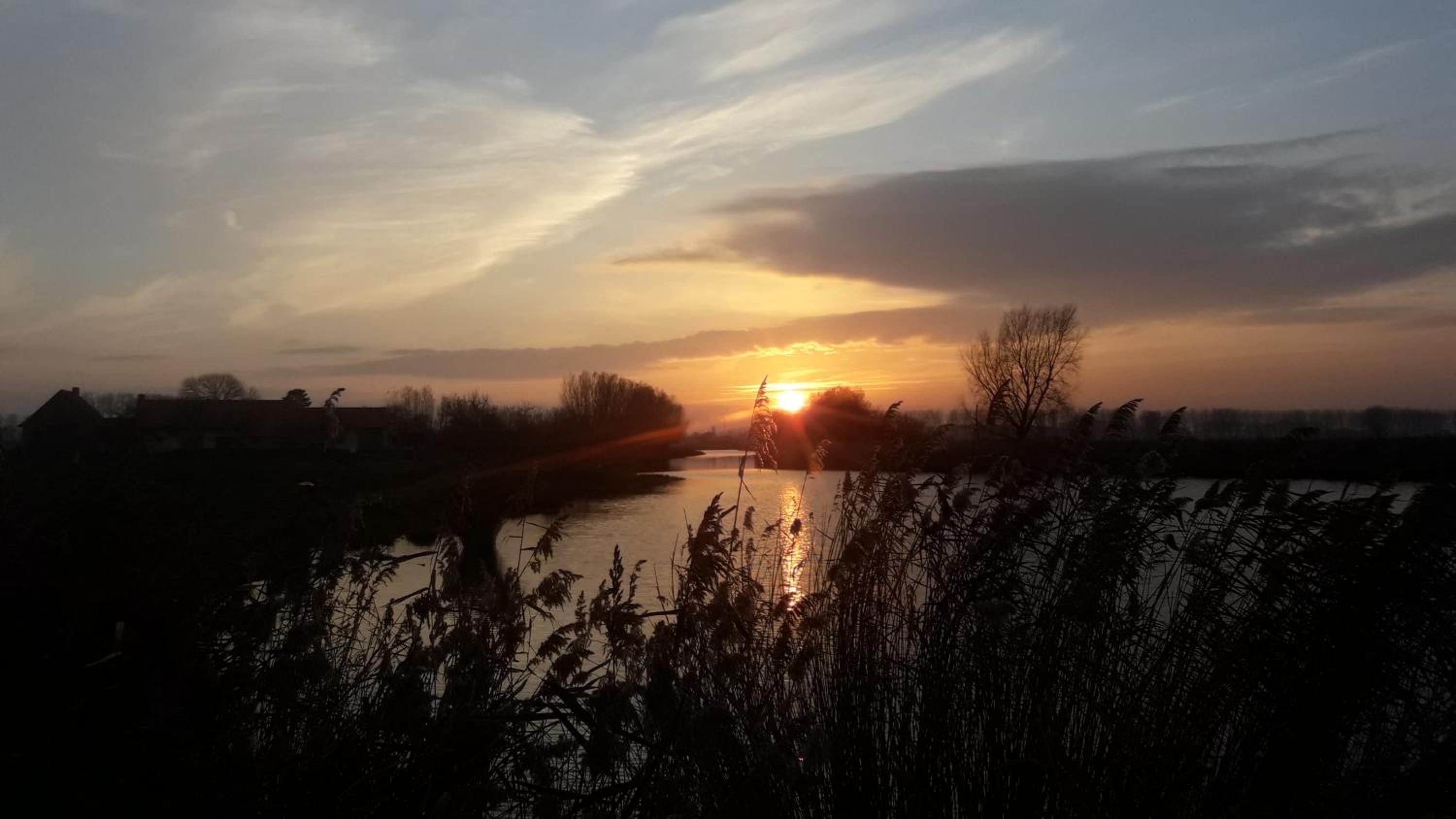 B&B De Hemelse Polder