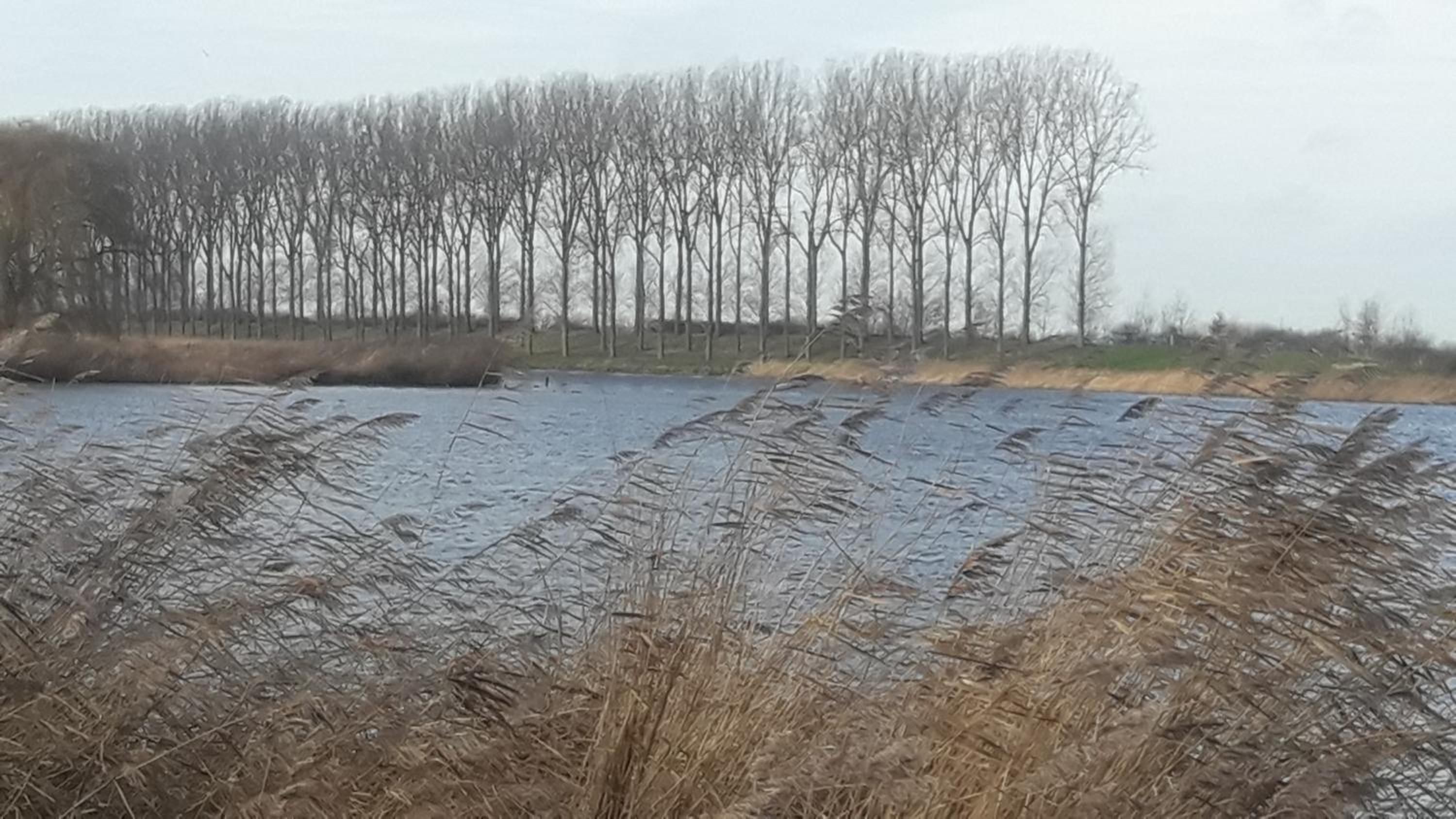 B&B De Hemelse Polder