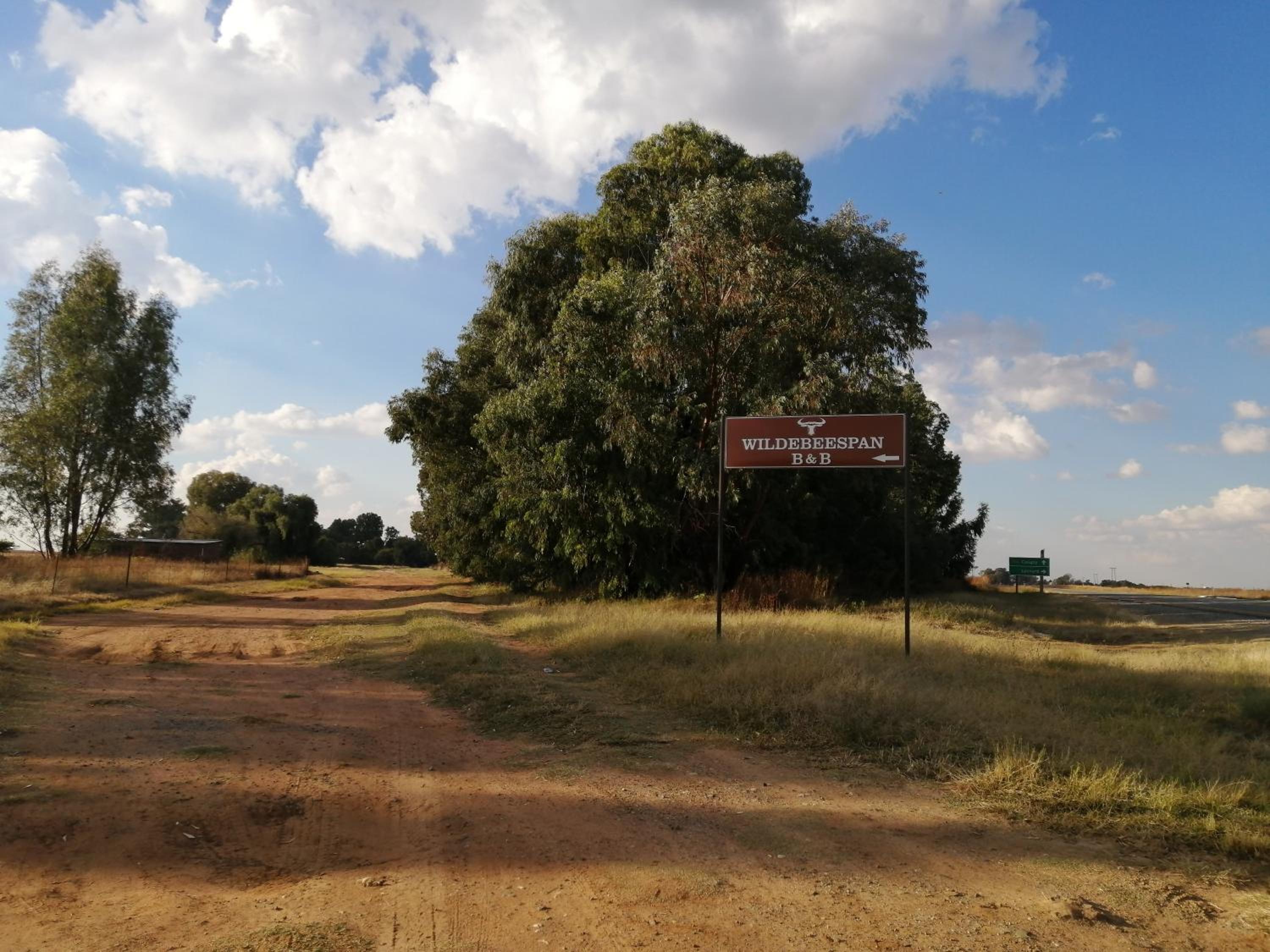 Wildebeespan Bed and Breakfast view 3
