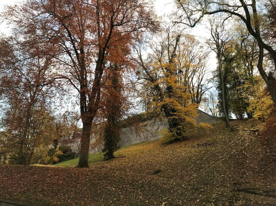 Appart 8 pers 10' à pied du centre:Le Savoie Namur view 2